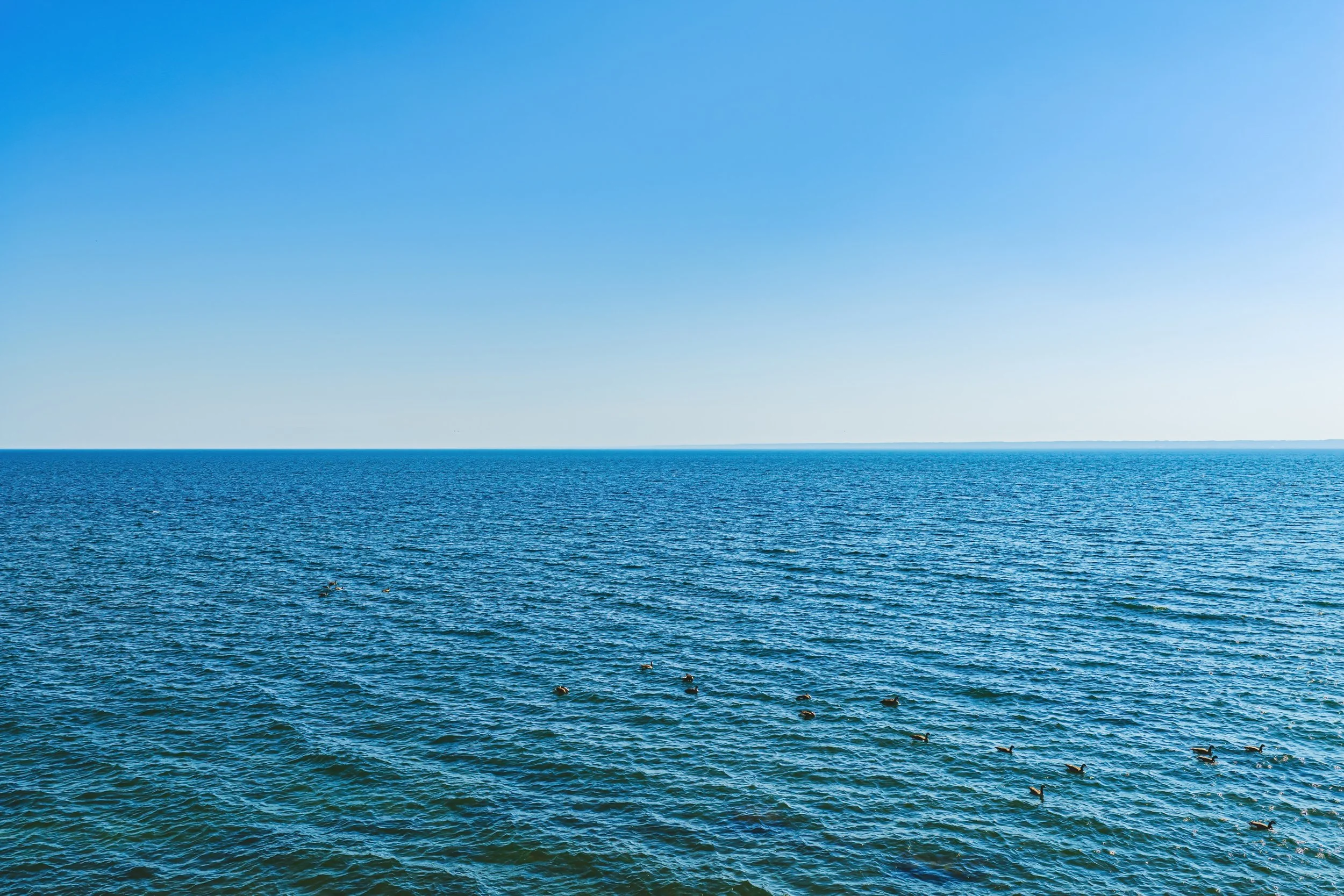43 - 5280 Lakeshore Rd #912, Burlington.jpg