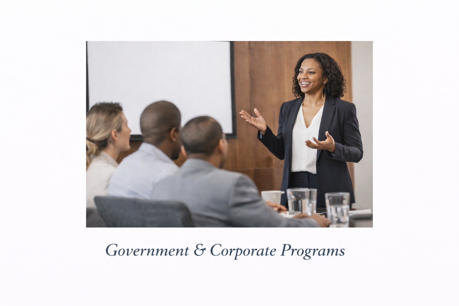 Government + Corporate Programs