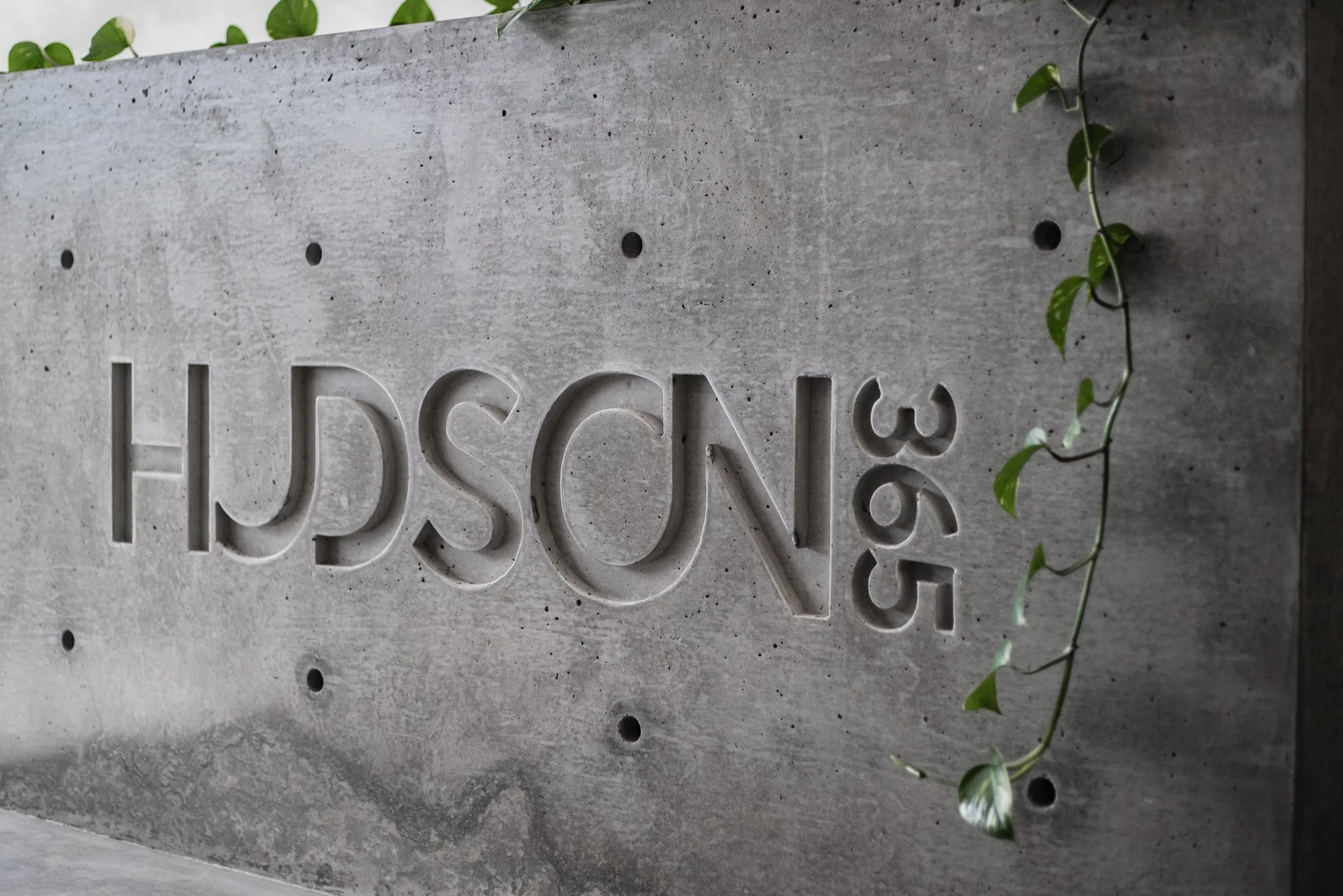 Concrete wall with cut-out letters spelling 'HUDSON 365', a small vine with green leaves growing along the right side.
