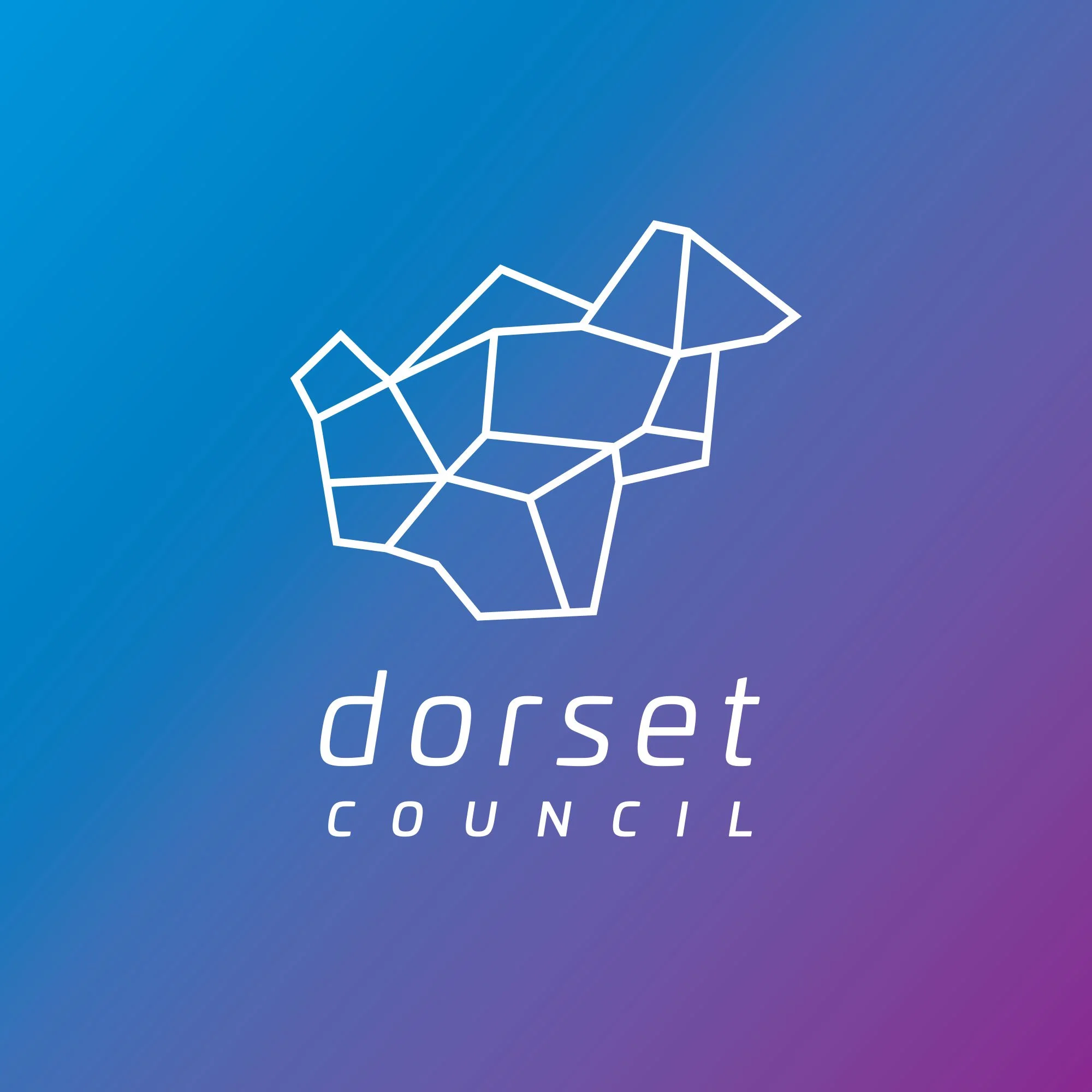 Dorset_Council_on_Blue.jpg
