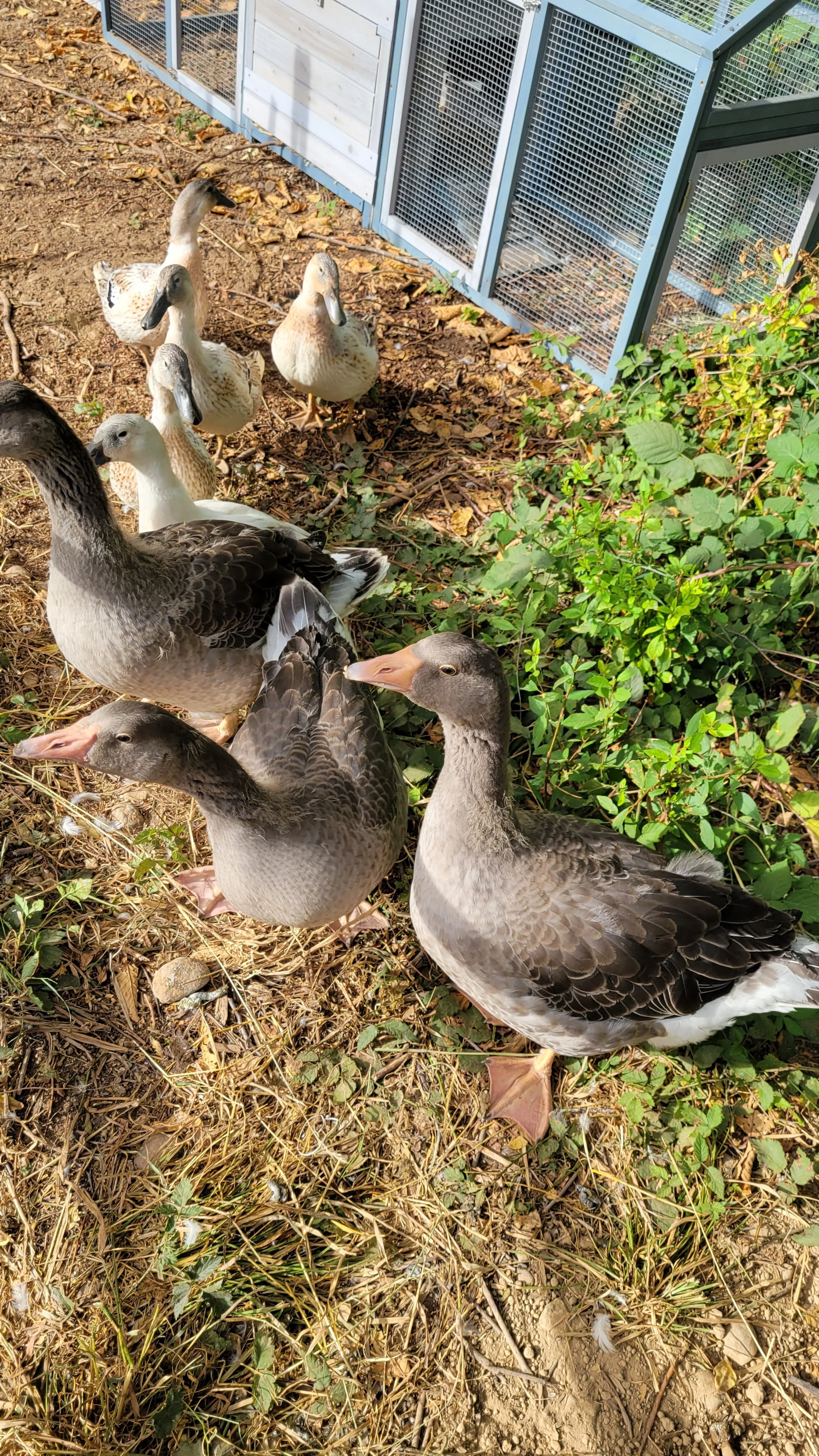 What happened the First Time Around - How Failures Lead to Lessons