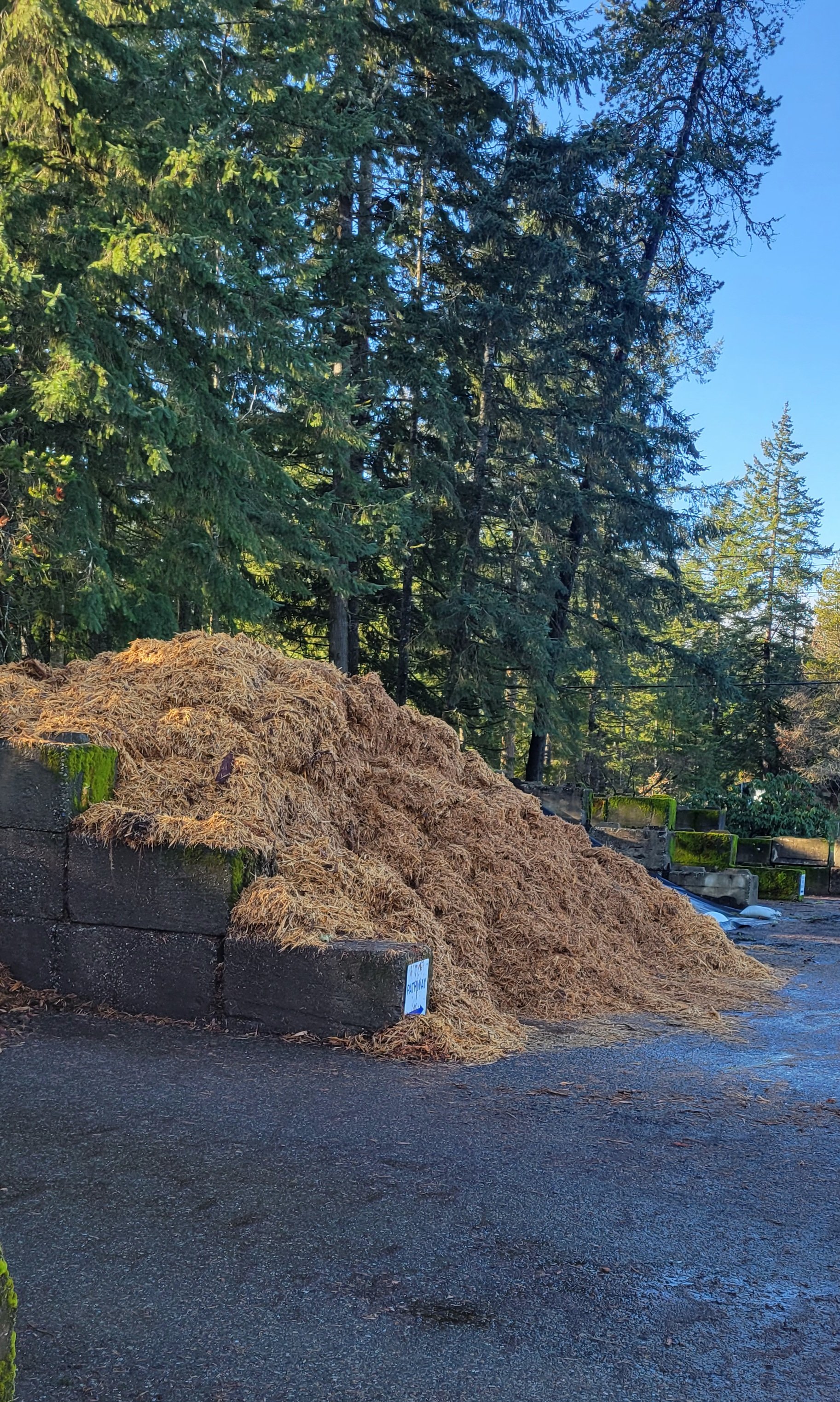 Winter Break: Farming in Daylight Again 