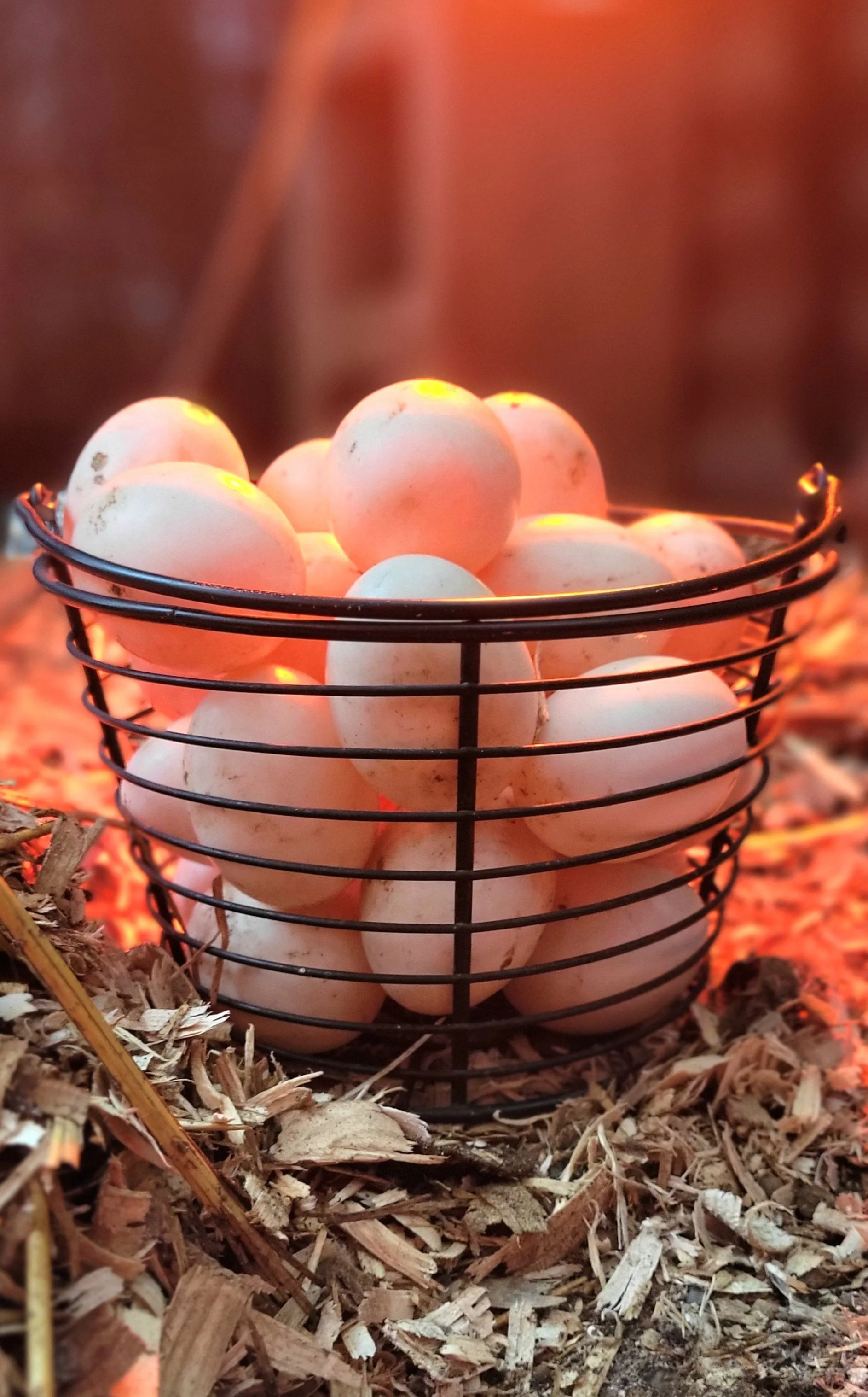 Why We Choose to Farm When the Store is Full