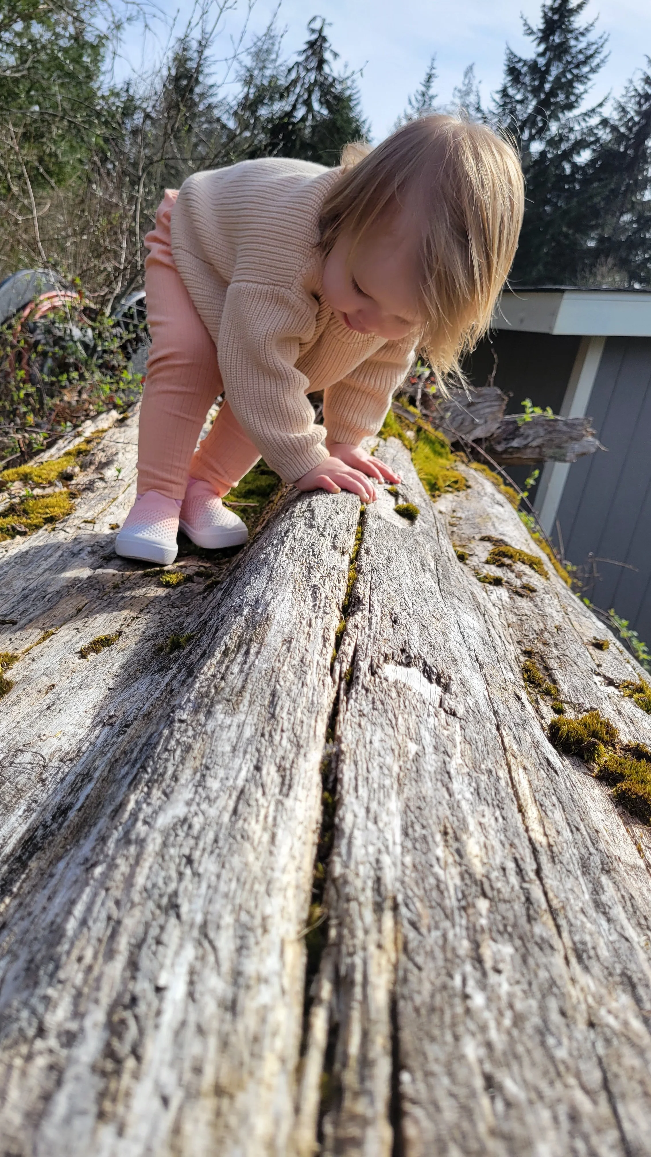 Calm Before the Storm