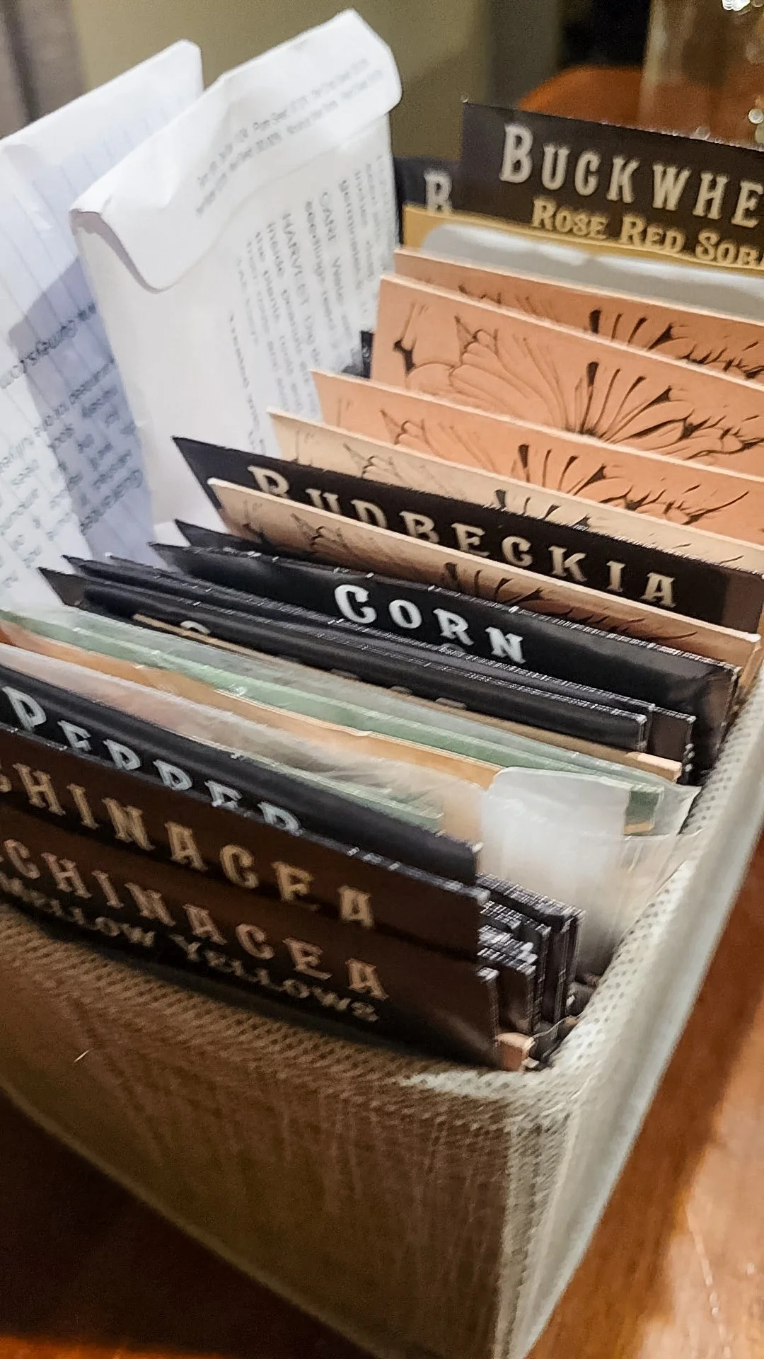 Seeds, Sheep, and Slow Progress: A Snapshot of Our Farm