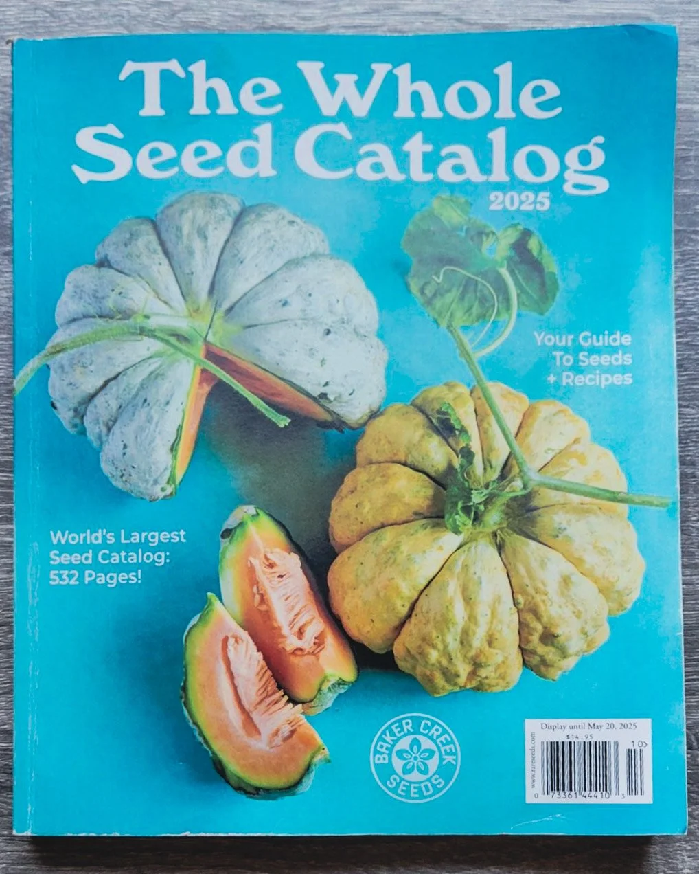 Foundations Are Built In Frost