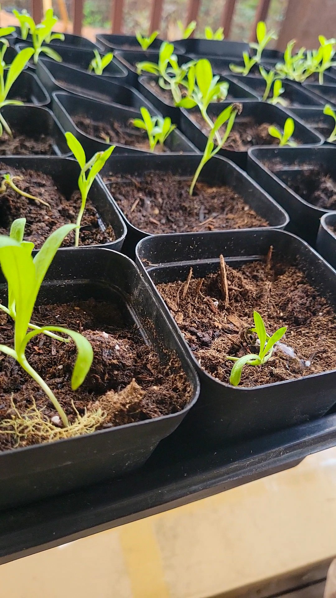 Standing at the Edges of the Busy Season