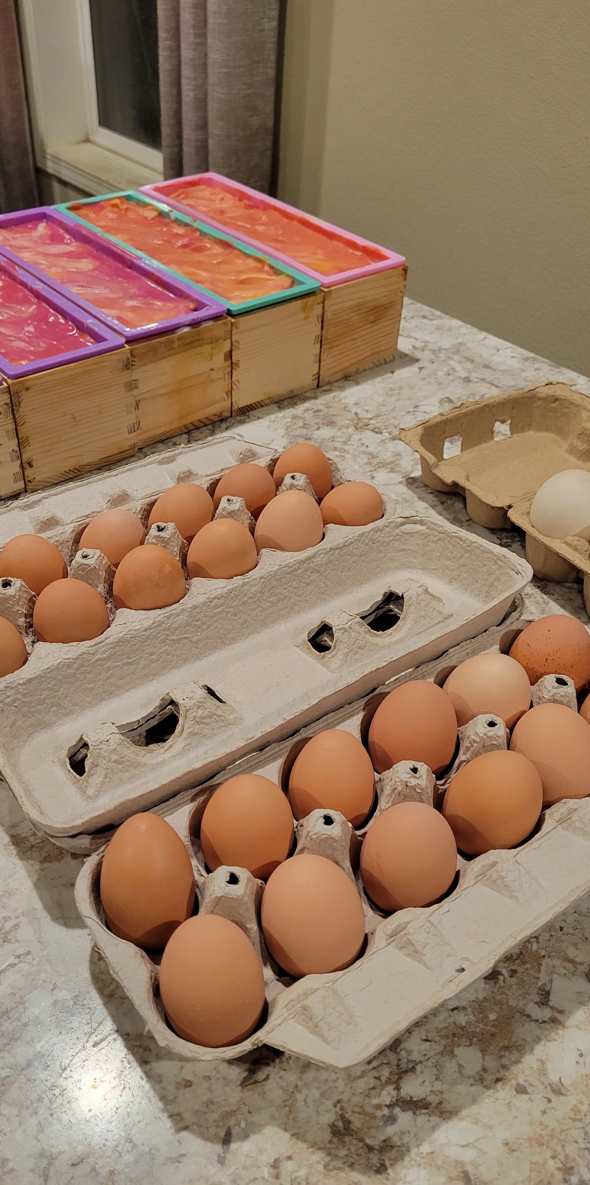 Stuck in the In-Between