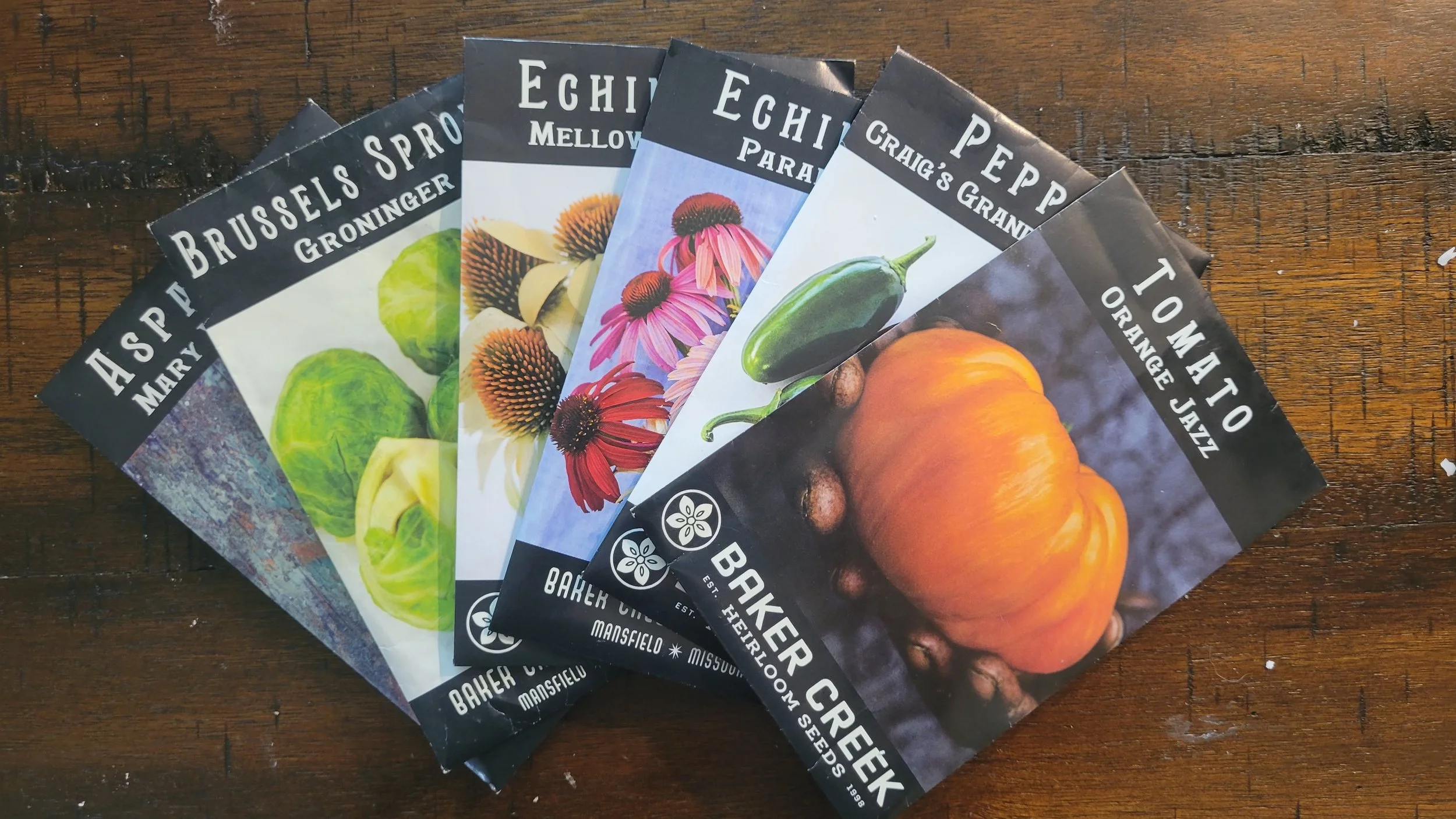 5 Essential Tips for Successful Seed Starting this Spring 