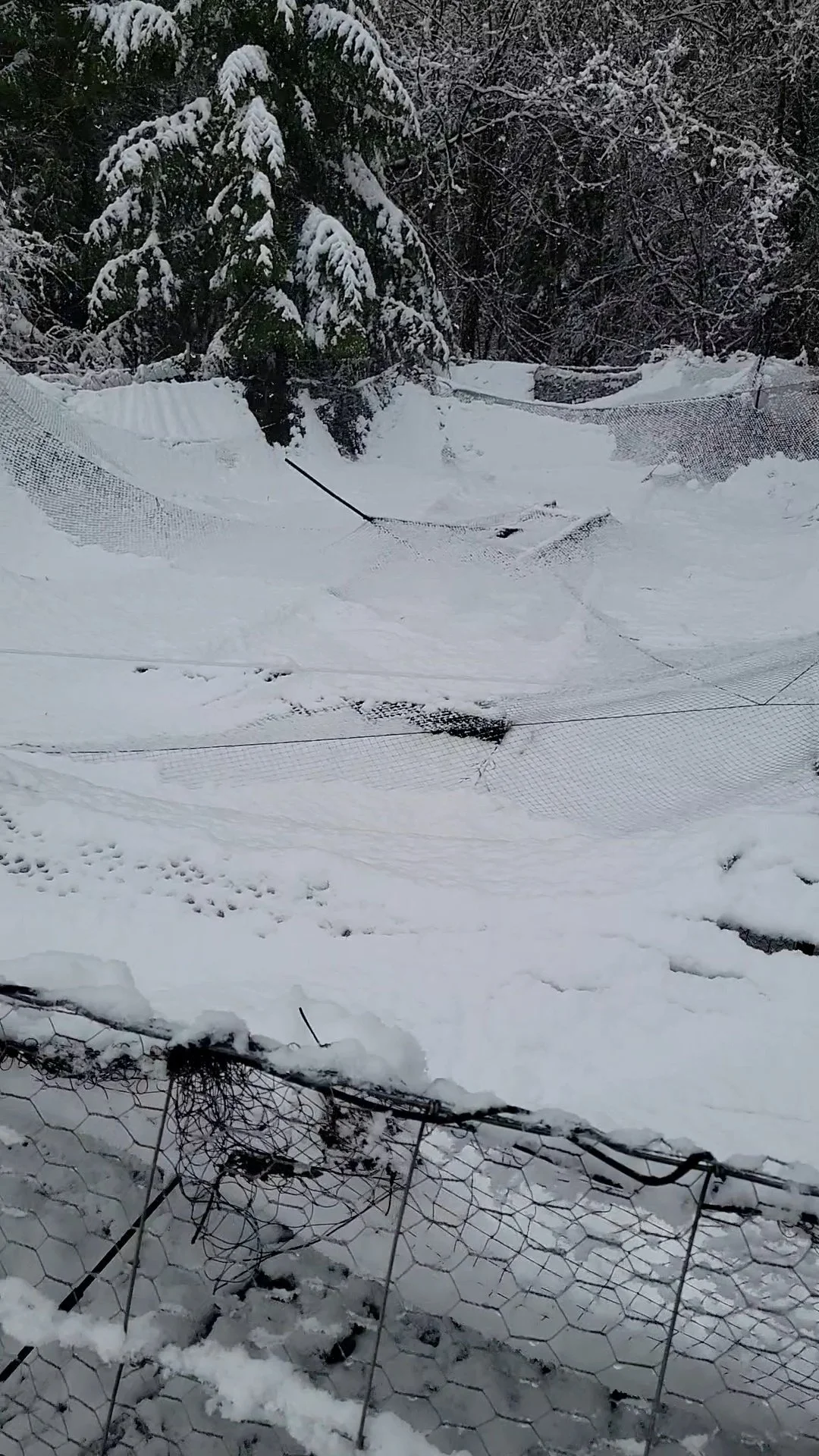 When the Net Fell: The Weight of Loss on the Homestead