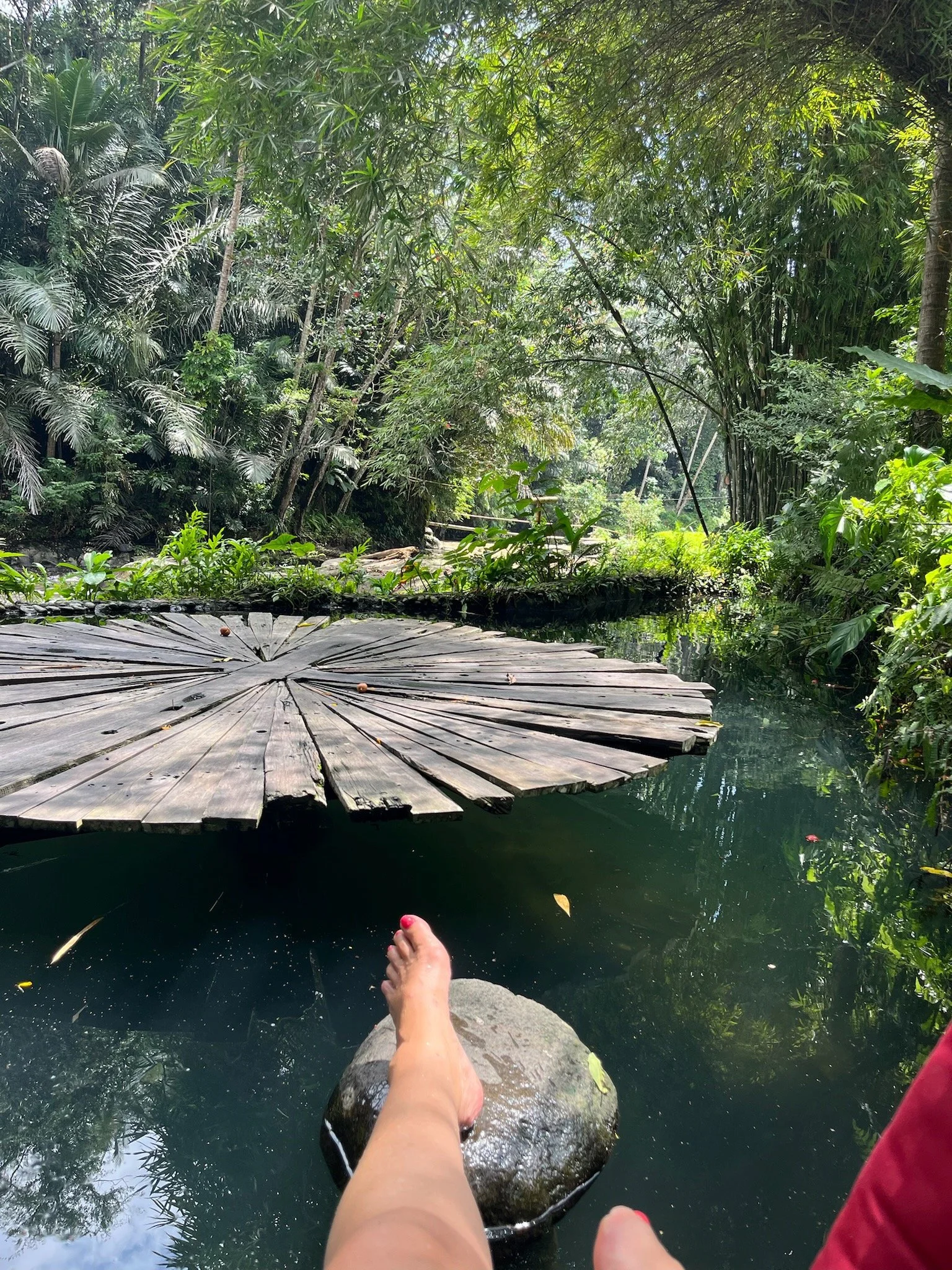 A person's bare foot resting on a stone in a calm rainforest stream, surrounded by lush green foliage and trees. A large wooden circular platform is seen on the water, with more plants and trees in the background.