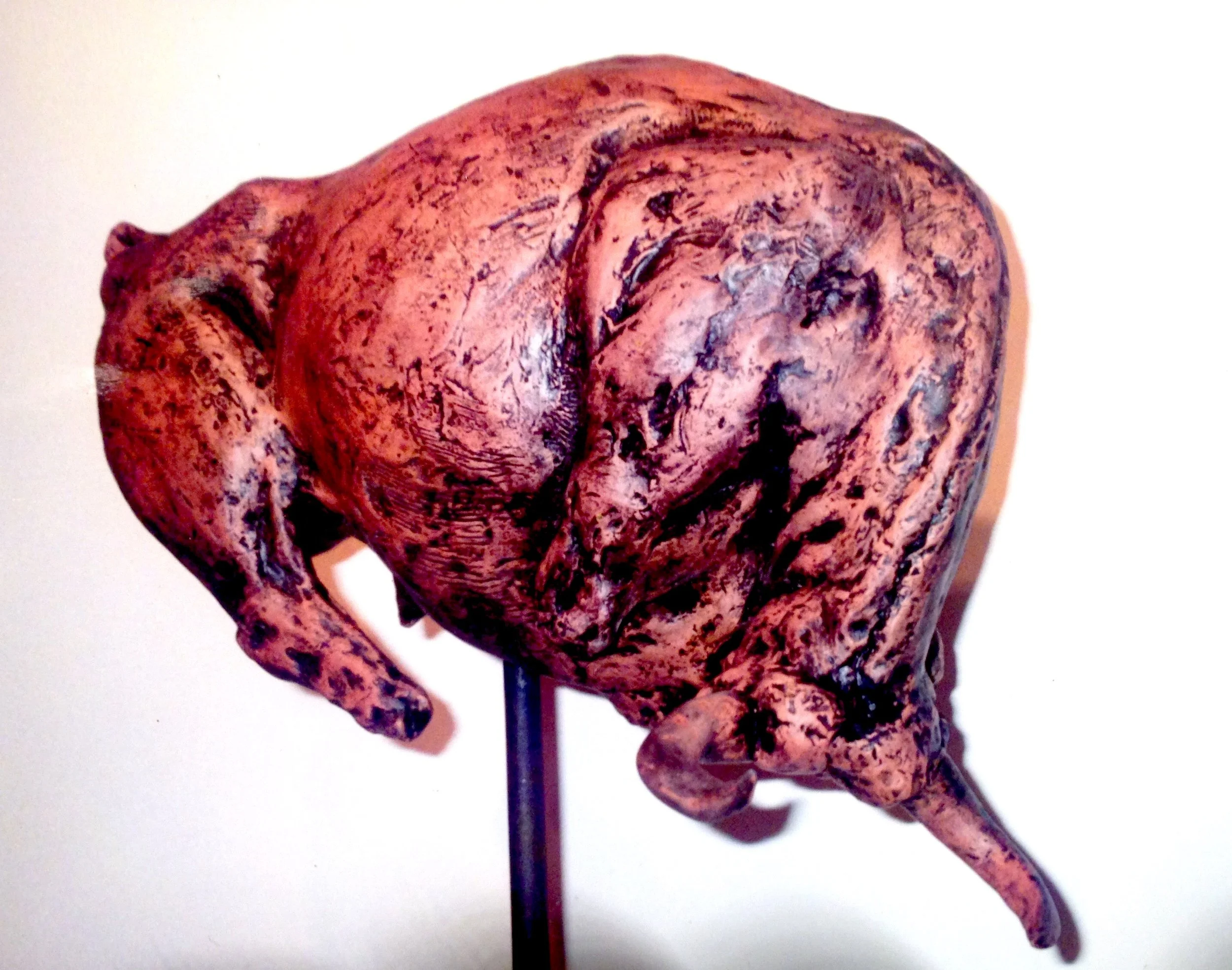 'BULL', Terracota, Adelaide 1993.