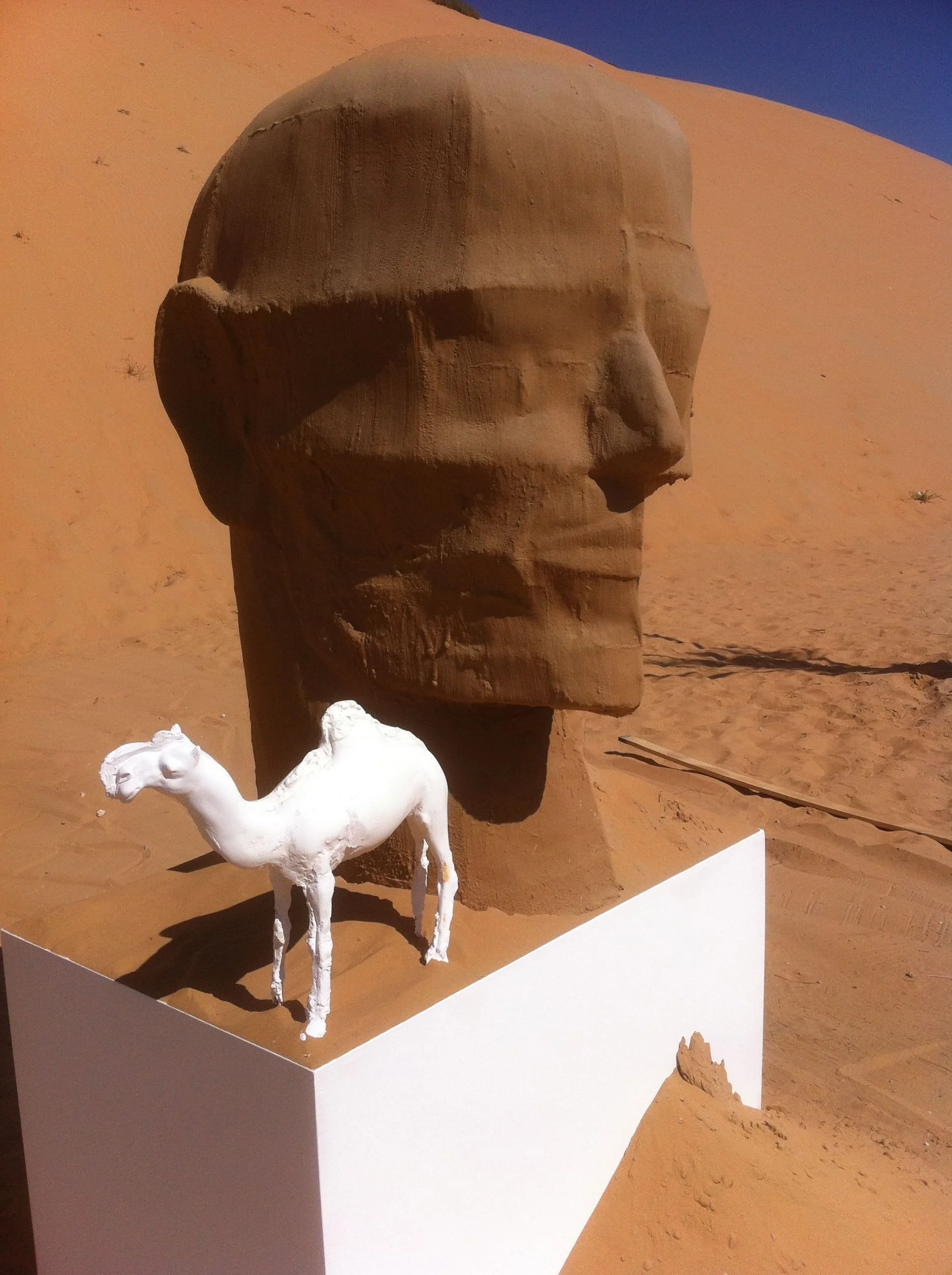 'SAND HEAD AND A CAMEL', sand, metal and plaster, Liwa 2014.