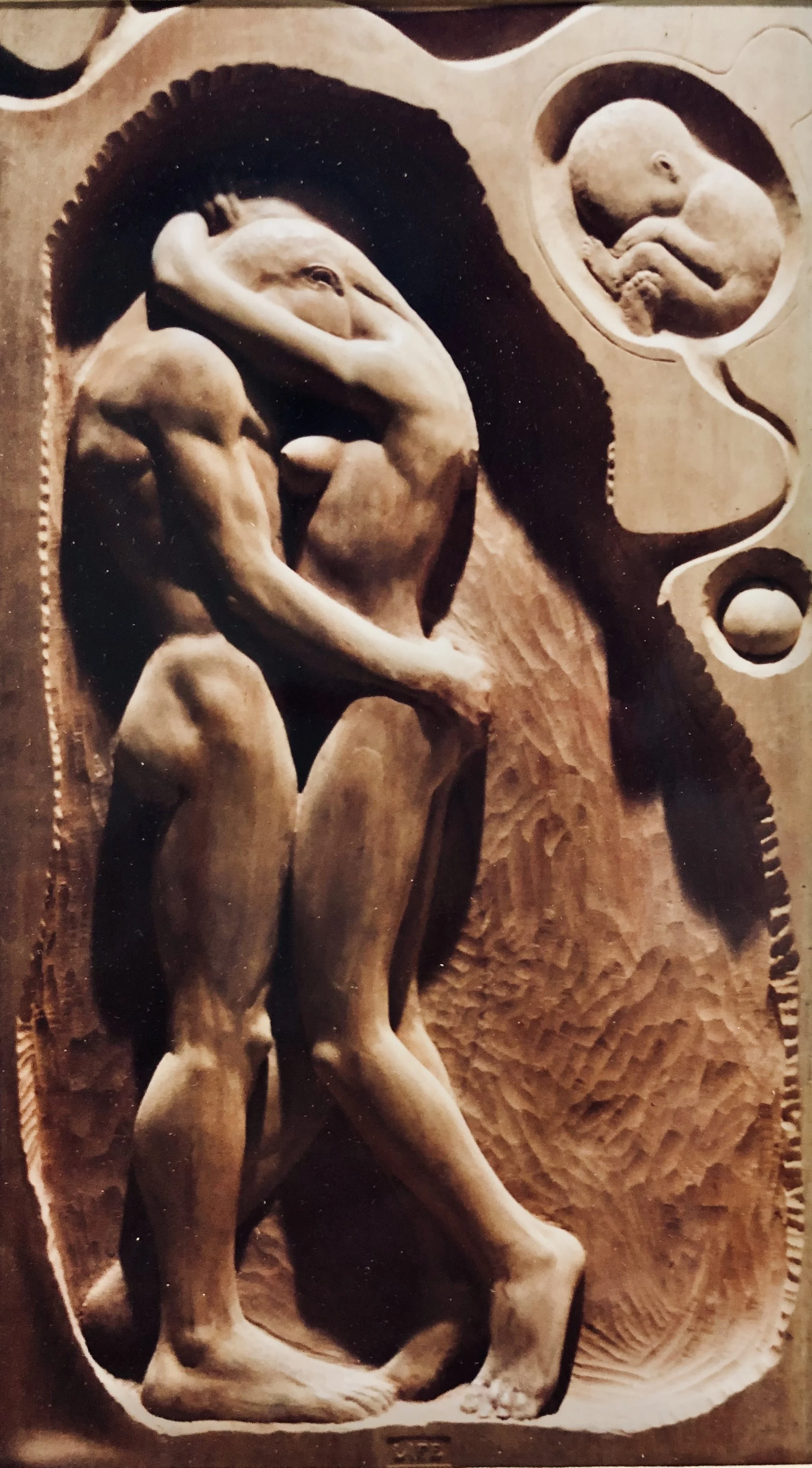 ‘LIFE’, woodcarving-brazilian mahogany (1000 x 580 mm), Adelaide 1989-1990.