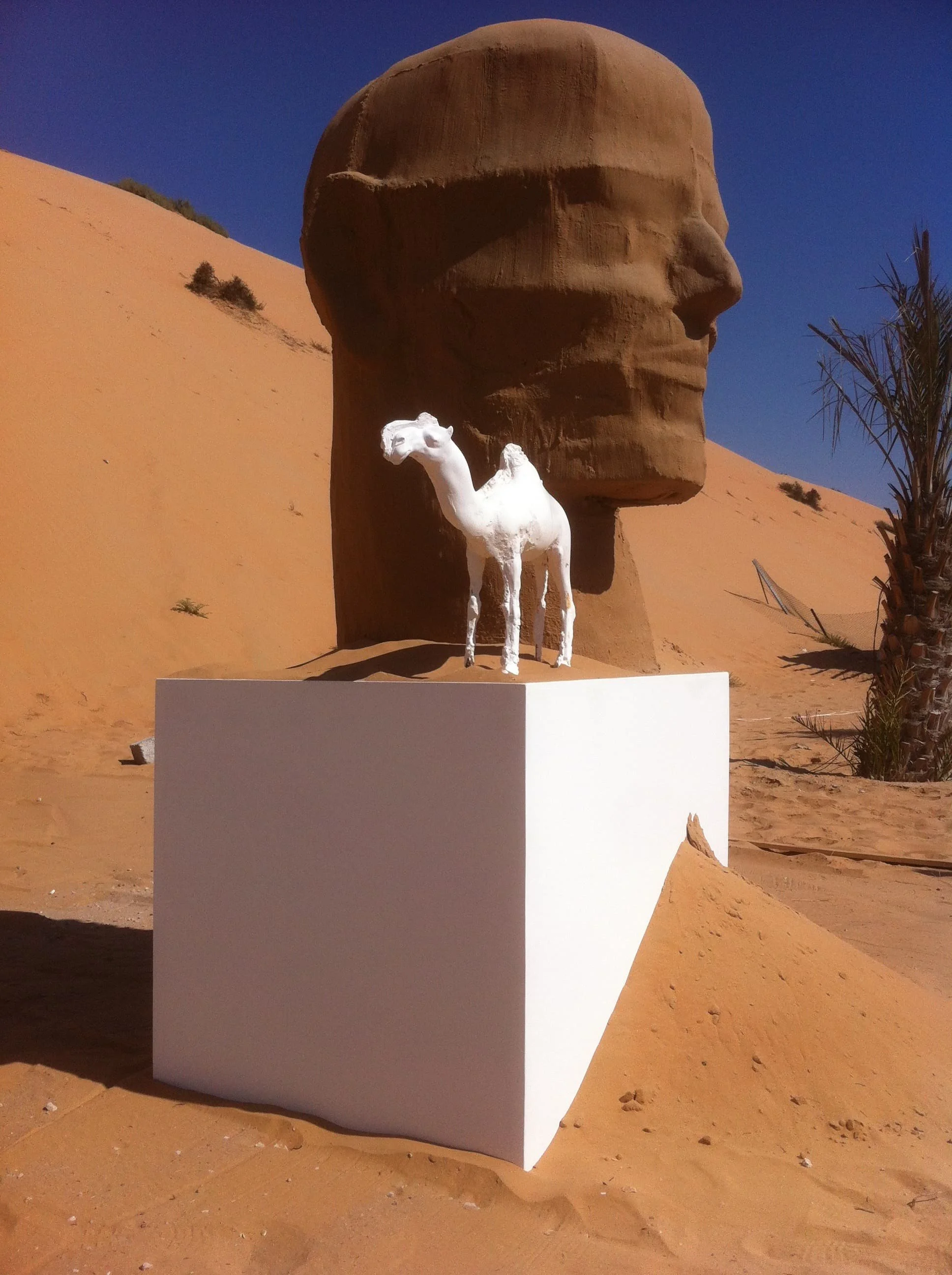 'SAND HEAD AND A CAMEL', sand, metal and plaster, Liwa 2014.