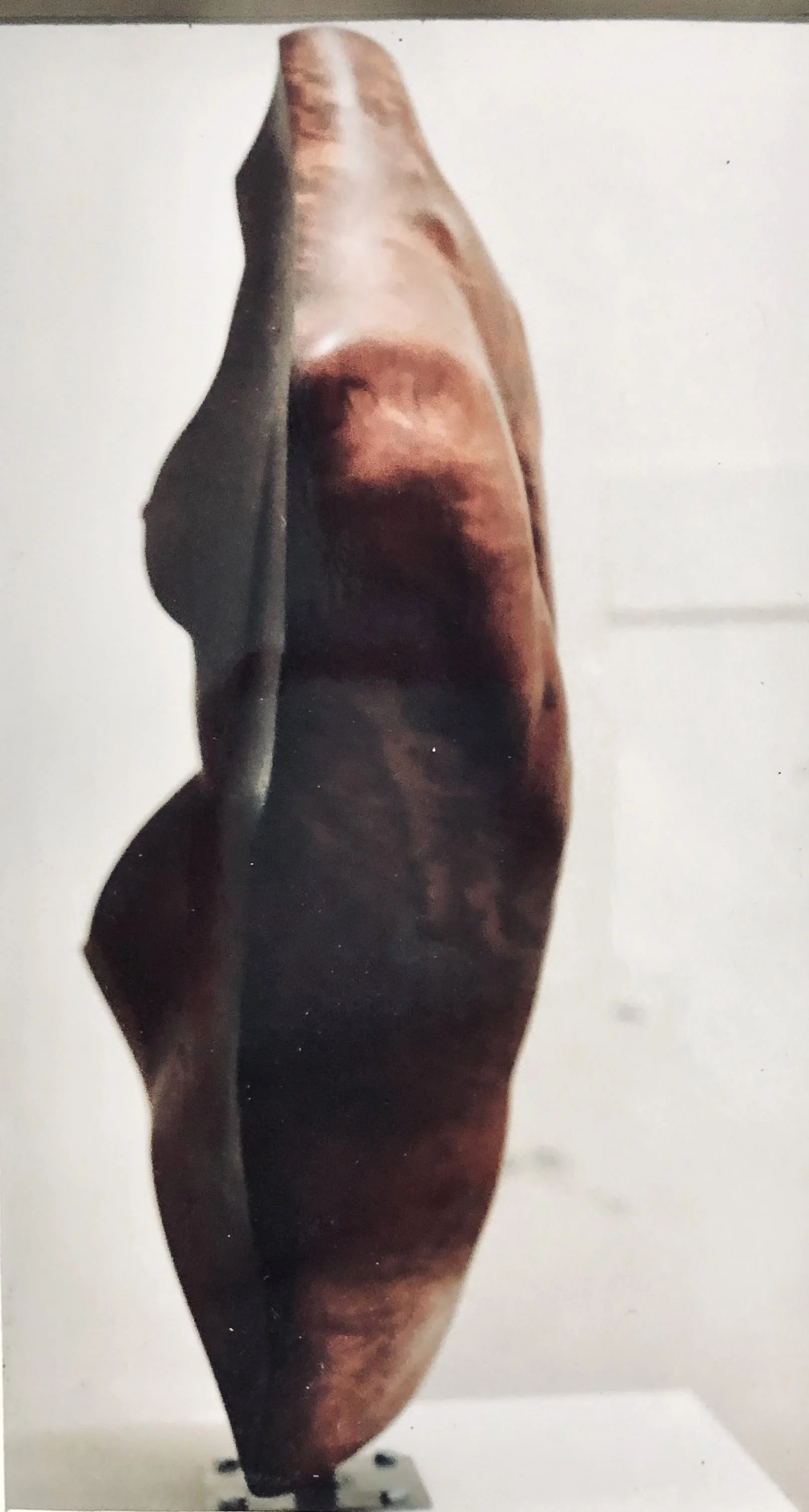 'TORSO', Red Gum woodcarving, Adelaide 1994.