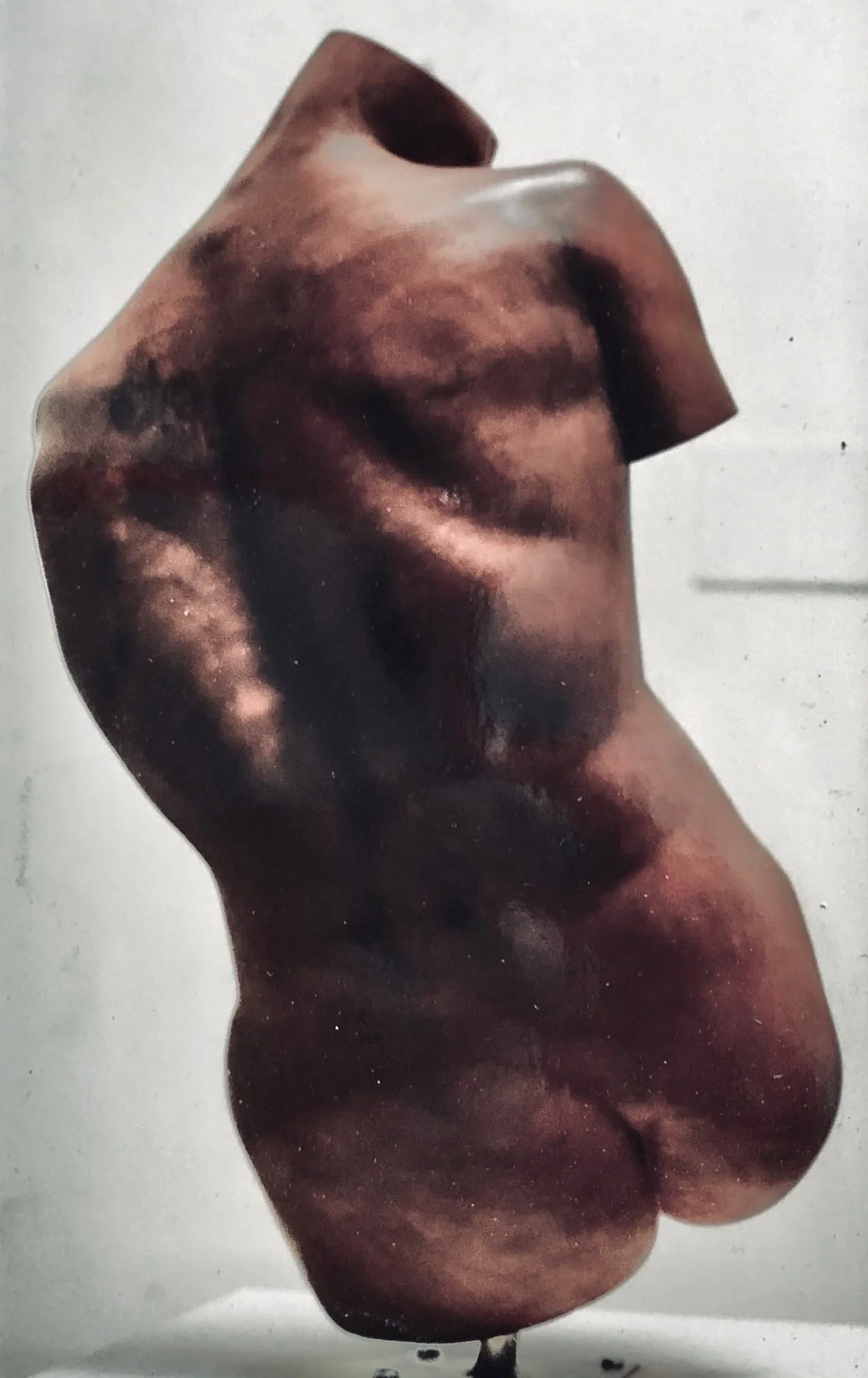 'TORSO', Red Gum woodcarving, Adelaide 1994.