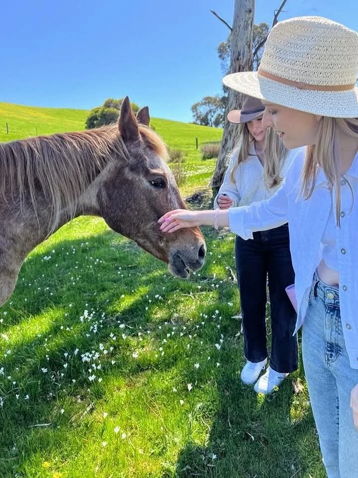 Two women in sun hats pet a horse on a grassy field during a sunny day.