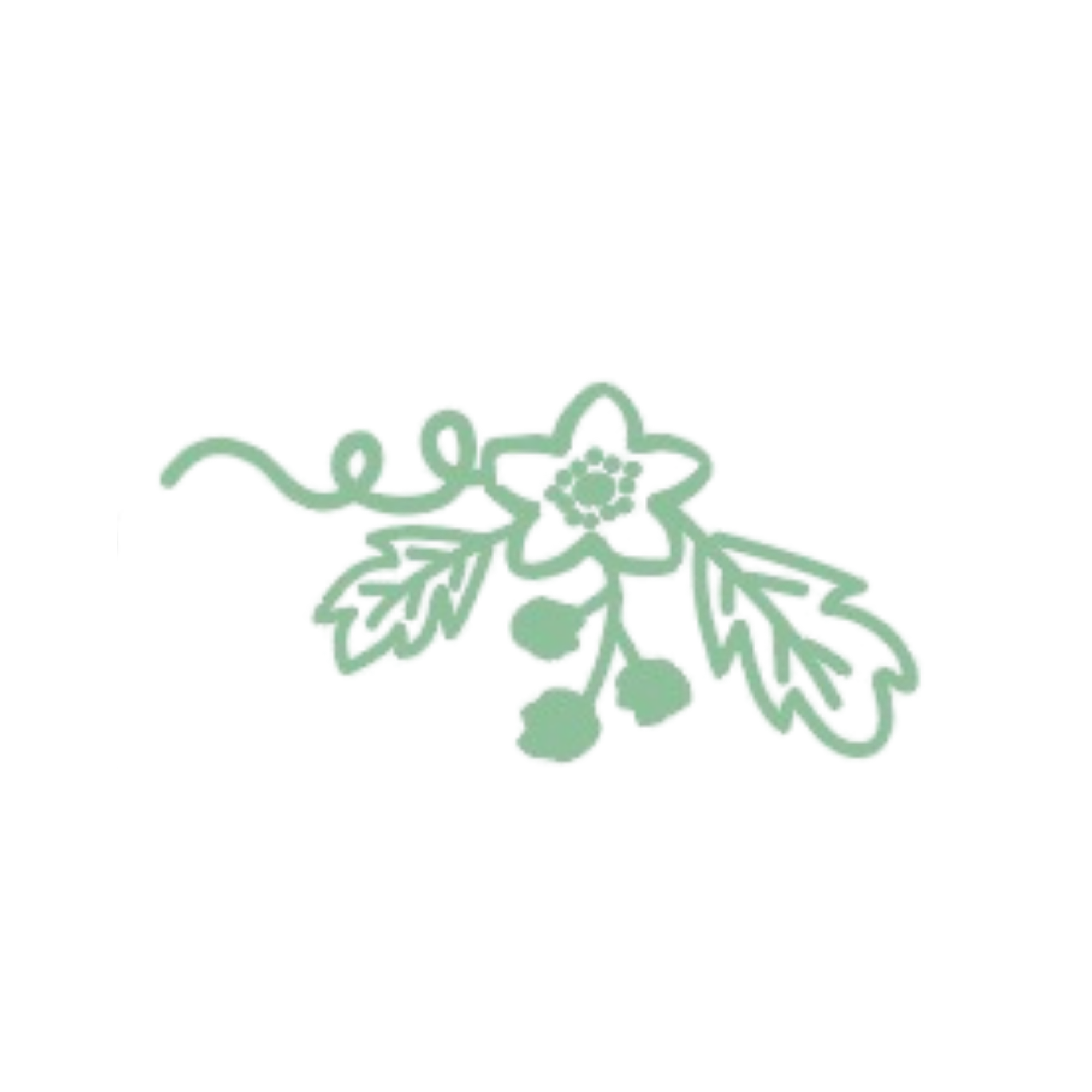 A light green decorative snowflake ornament with multiple intricate patterns, positioned against a black background.
