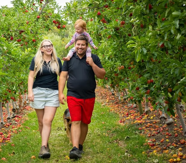 Family walking through an apple orchard with a young girl riding on dad's shoulders, surrounded by ripe apples and fallen fruit on the ground.