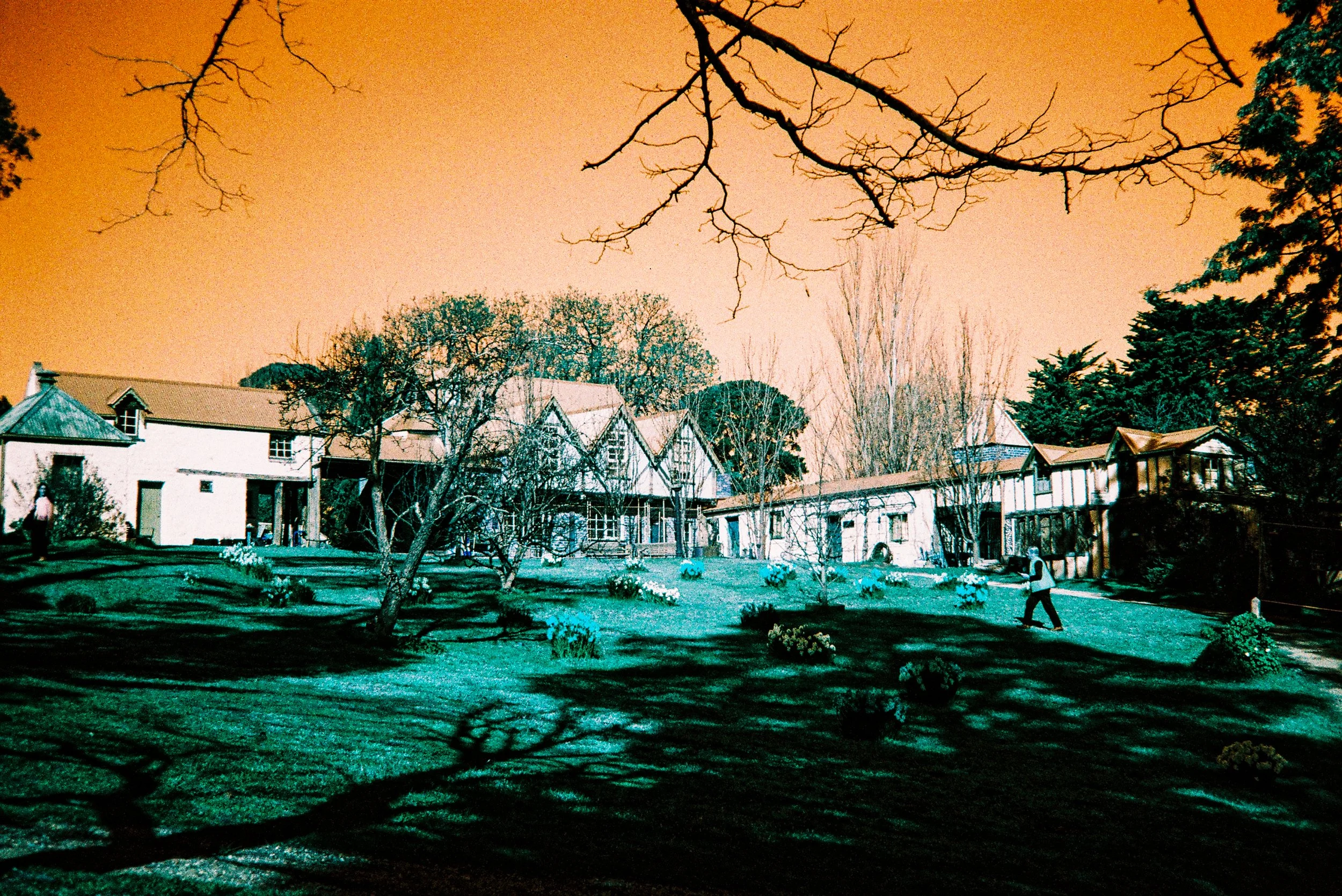 A suburban neighborhood with houses, trees, and a grassy yard under an orange sky at sunset.