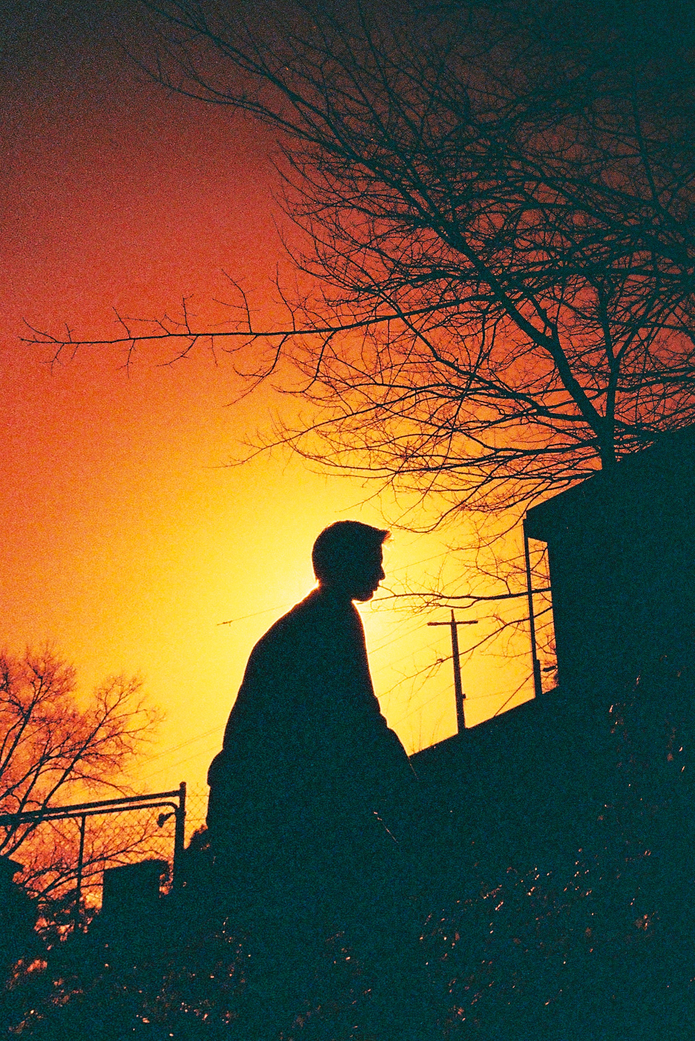 Silhouette of a person sitting outdoors during sunset, with leafless trees and utility poles in the background.