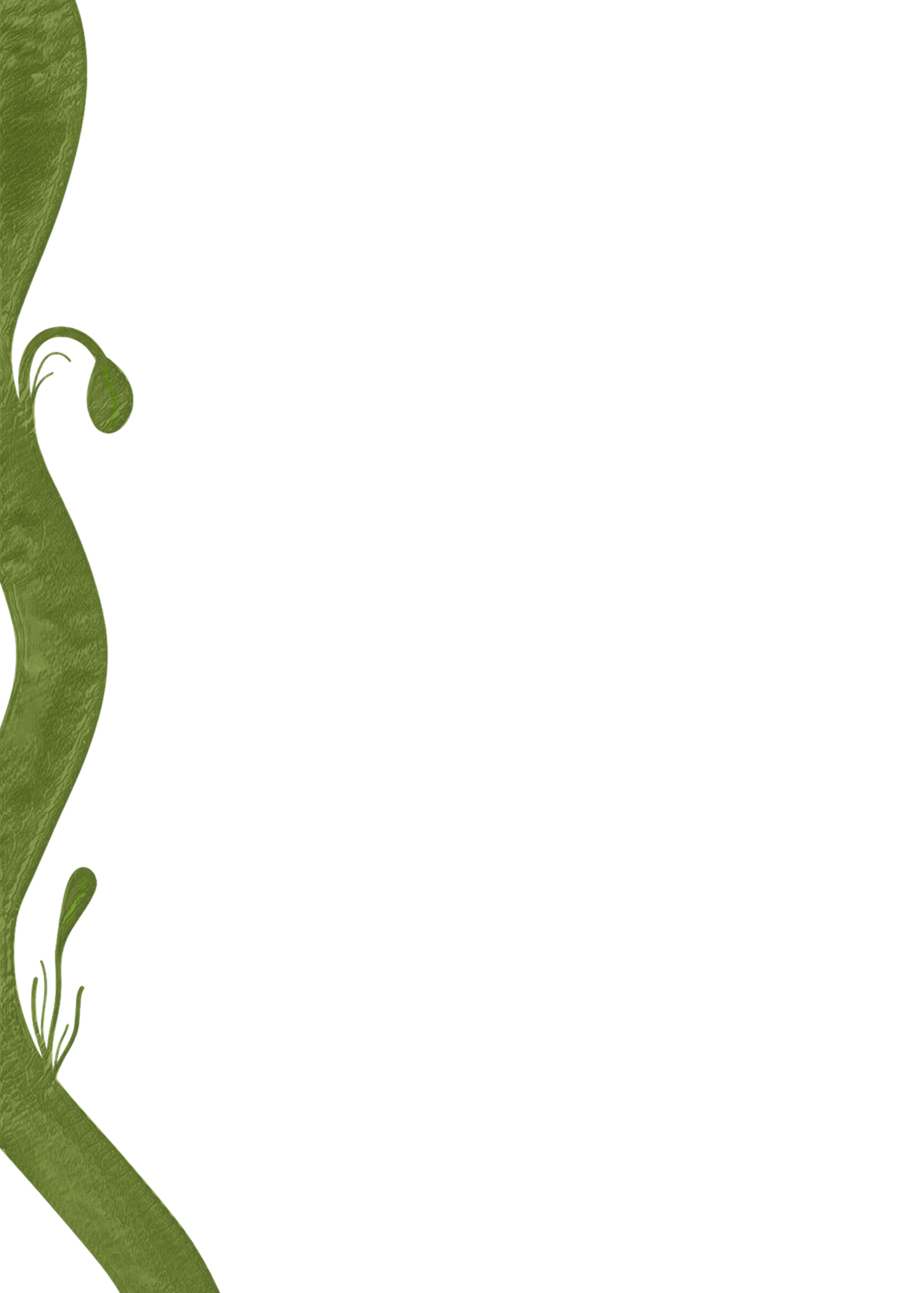 Close-up of a green plant with leaves and tendrils on a black background.