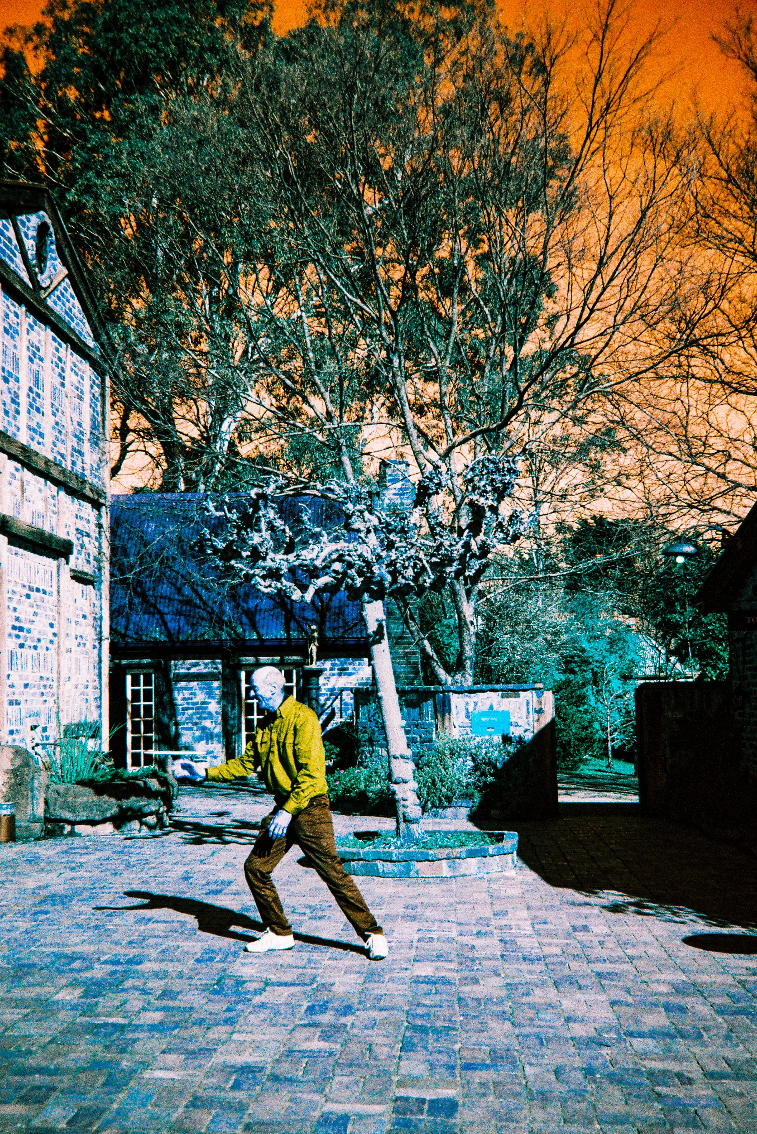 A person in a yellow jacket and brown pants is walking on a brick-paved courtyard at night. There is a large snow-covered deciduous tree and a smaller evergreen tree in the background. The scene is illuminated with colorful artificial lighting, creating a surreal effect.