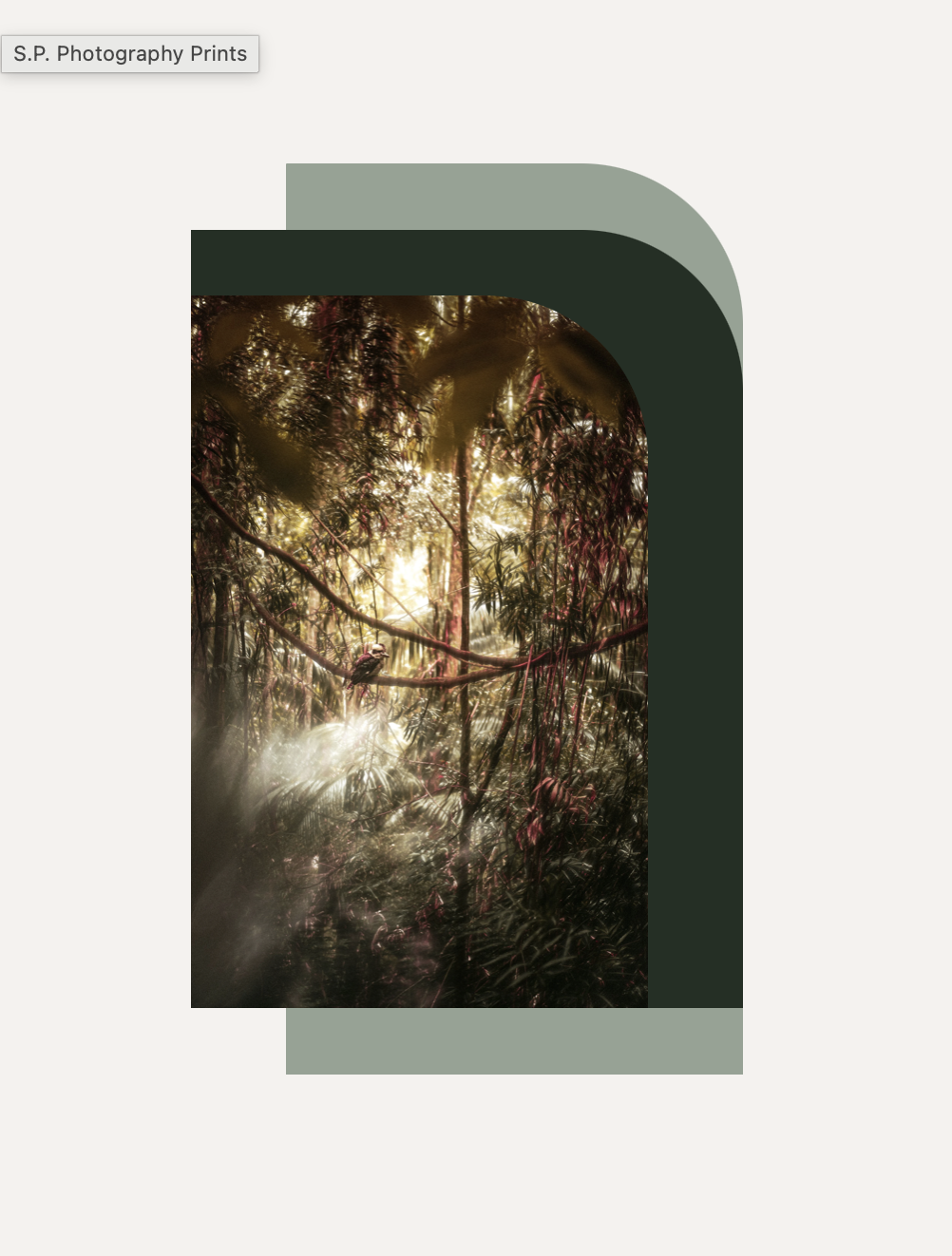 Sunlight streaming through dense forest trees with leaves and branches, creating a warm, glowing atmosphere.