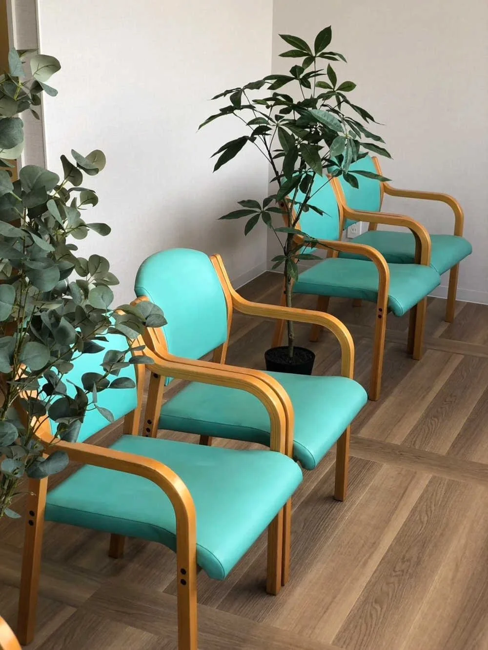 待合室は緑に囲まれた安心できる雰囲気です。