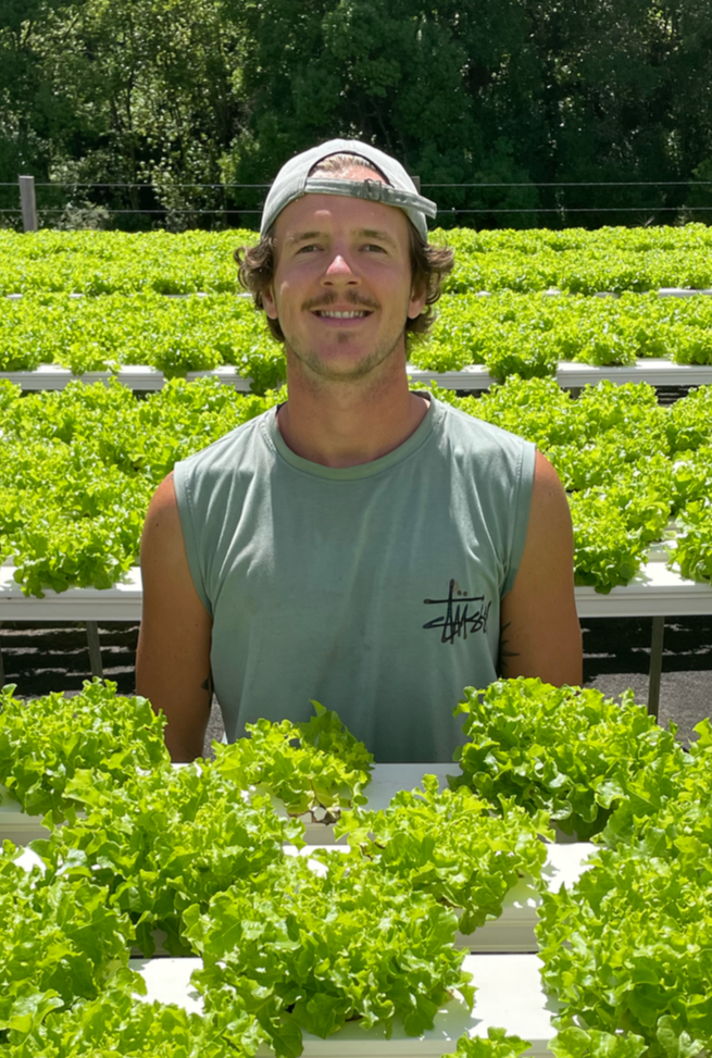 Young man with curly hair, wearing a backward baseball cap and sleeveless shirt, smiling amidst rows of green leafy lettuce in a farm or greenhouse.