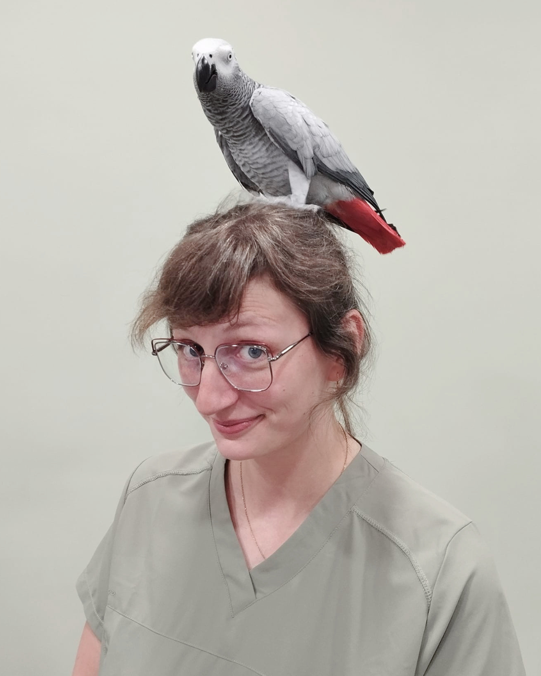 Veterinaria con un loro gris en la cabeza