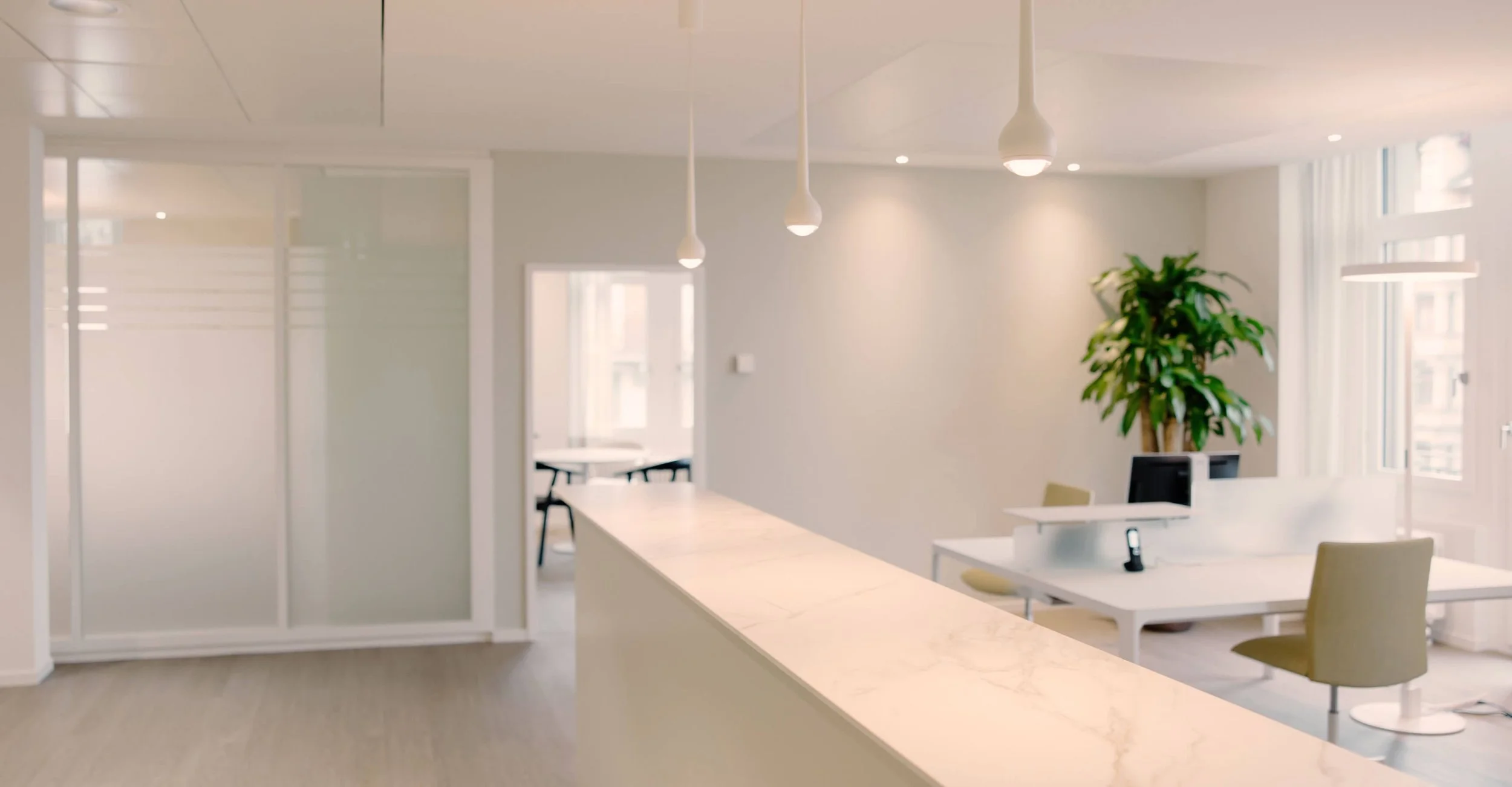 Modern office reception area with white walls, large windows, green plants, a white desk, and minimalist decor.