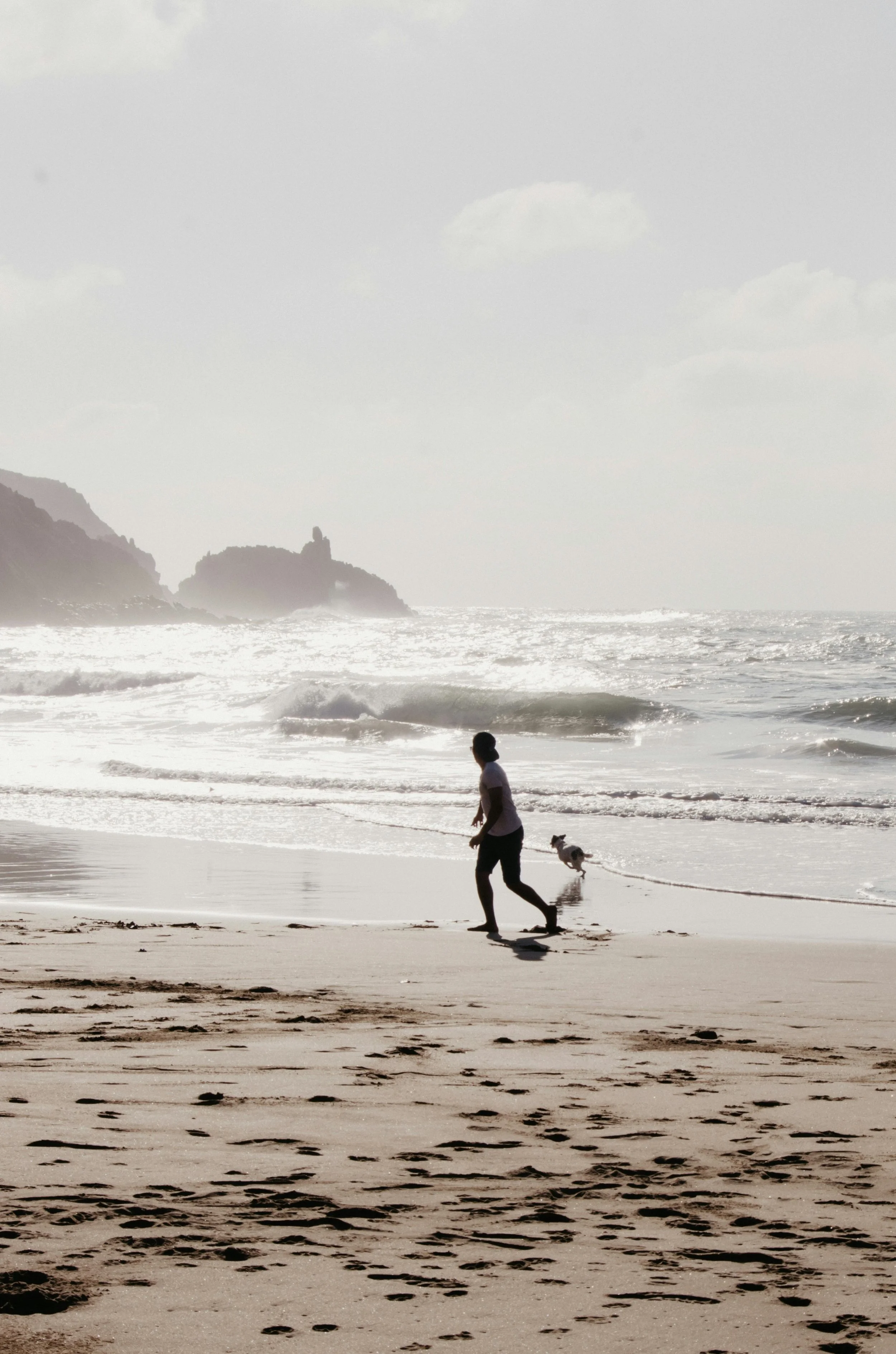 Person throwing ball for dog on beach - representing our adult ADHD assessment California