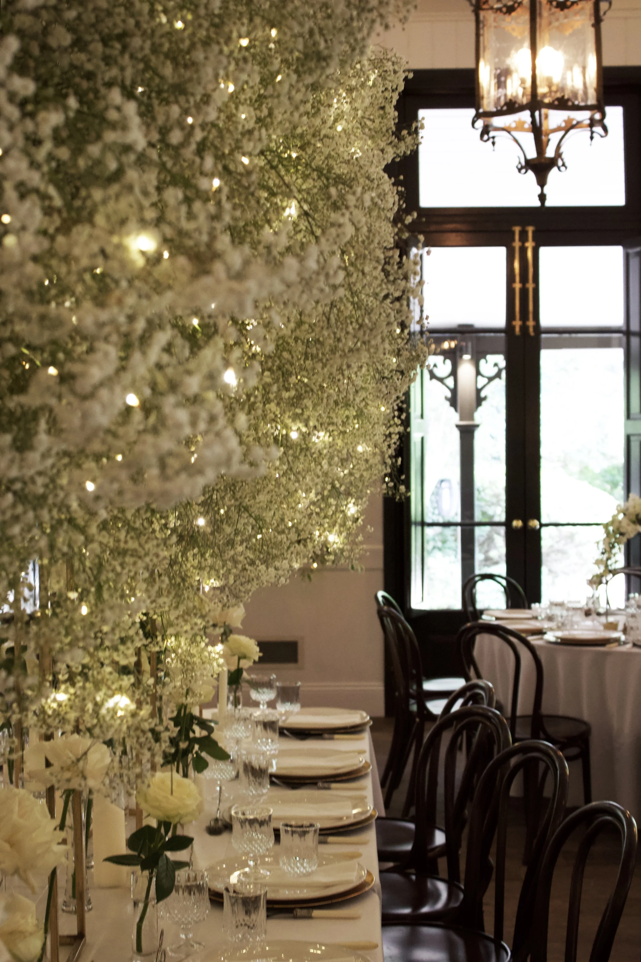 image 12 flower.jpeg