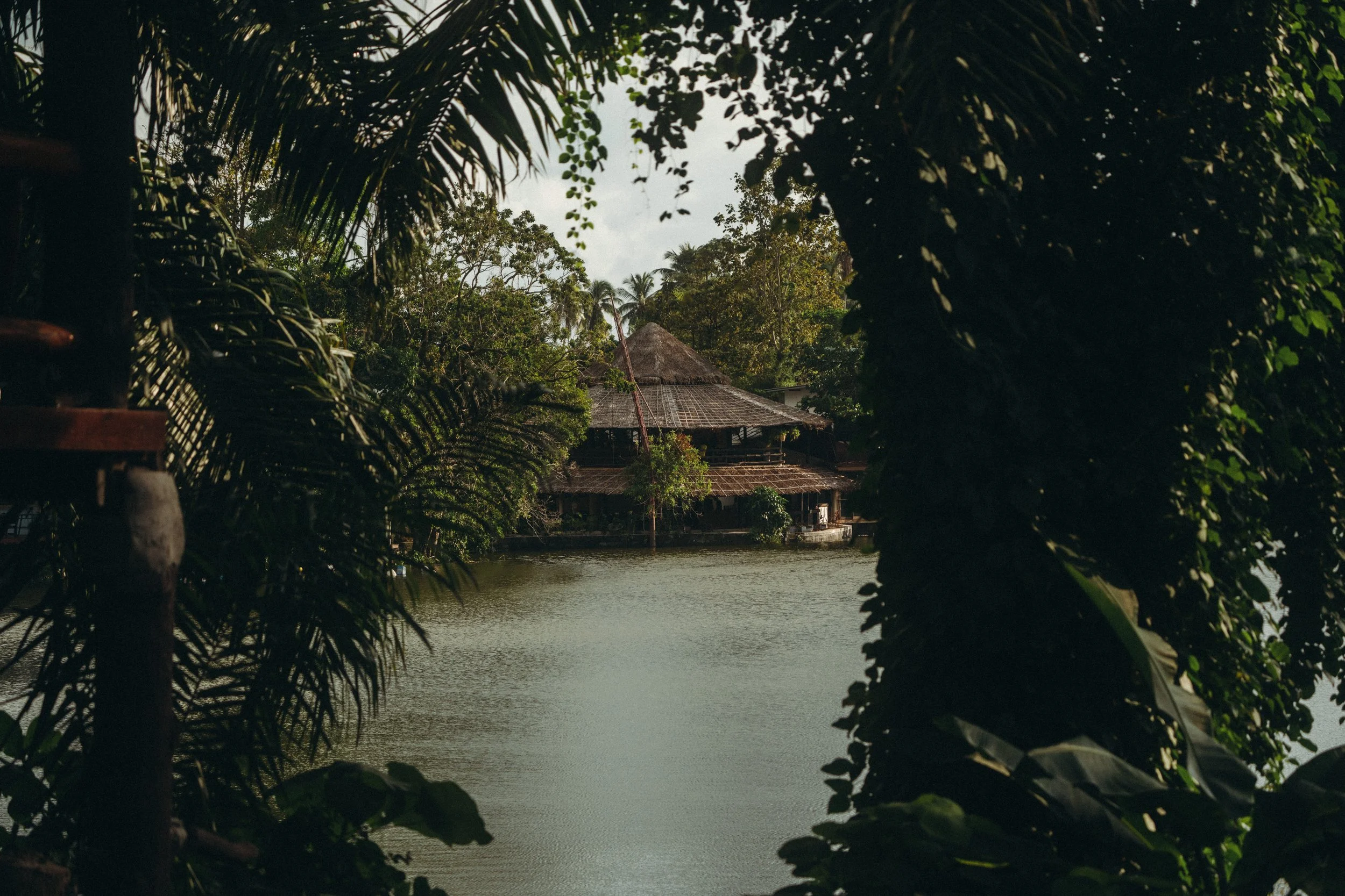 The Lakehouse picture taken from across the street. A house with a thatched roof by a lake, surrounded by dense tropical trees and foliage.