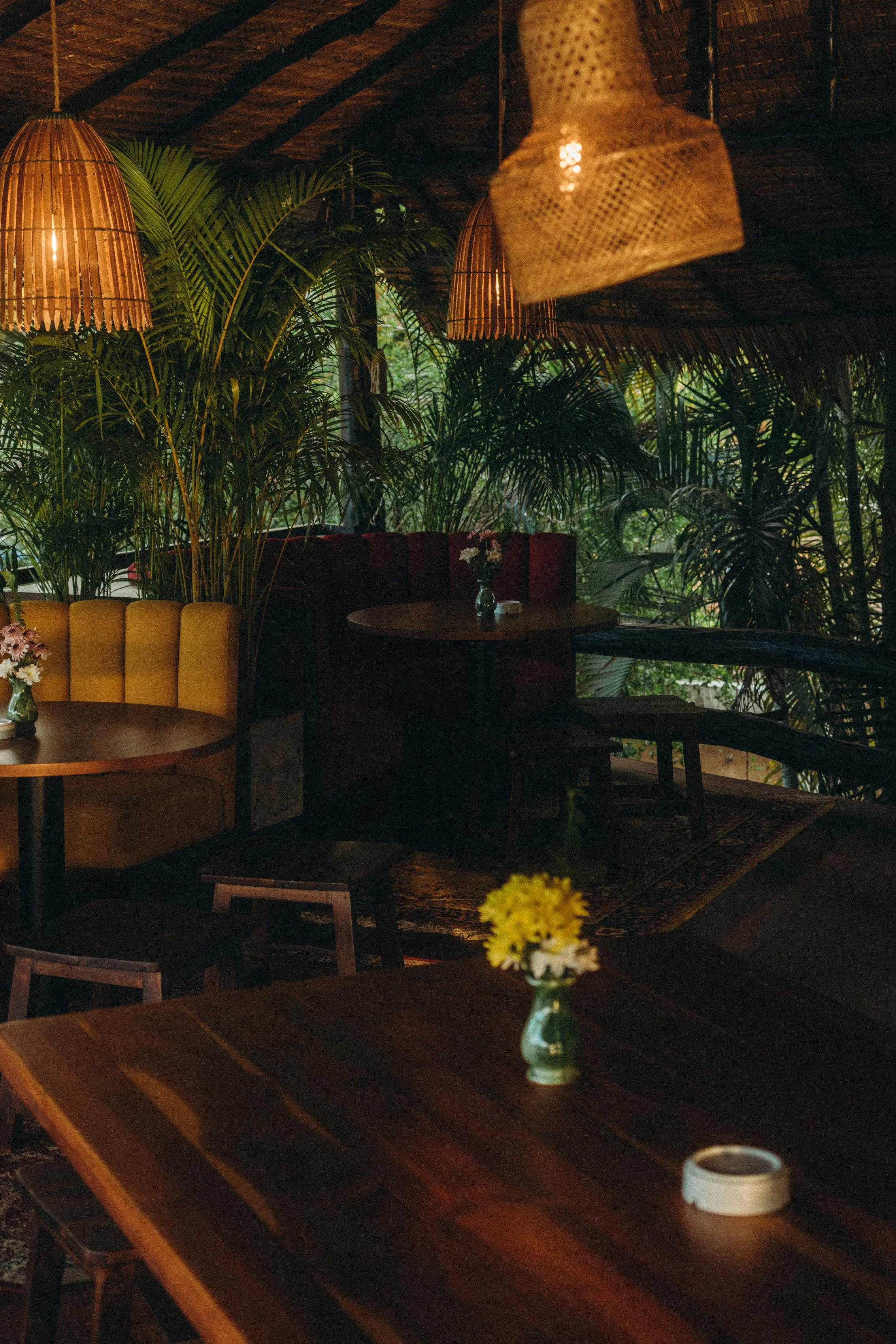 Cozy indoor space of The Lakehouse with wooden furniture, wall lamps and beautiful jungle plants in the background
