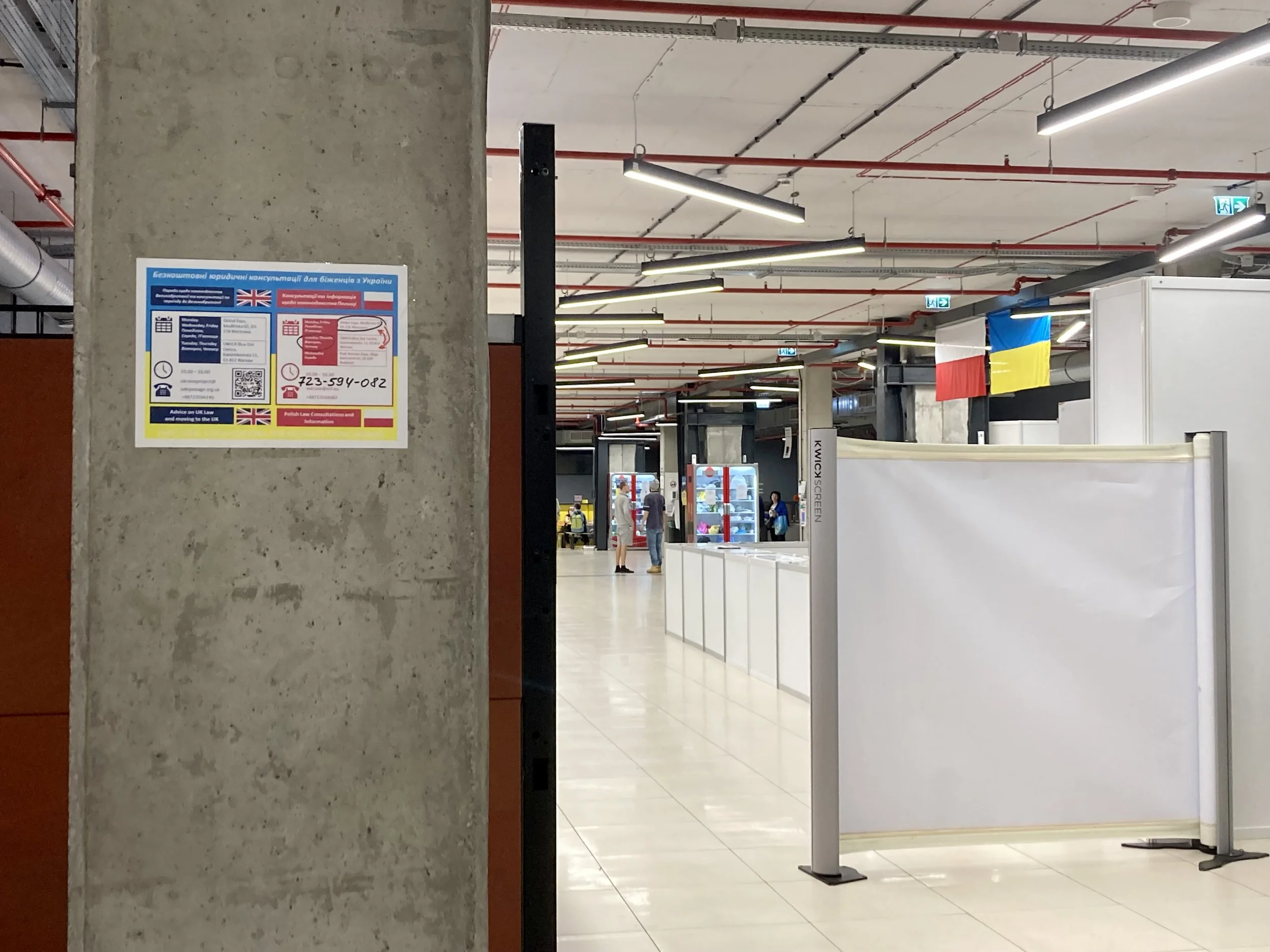 Securing Legal Guardianship to Access Essential Medical Care