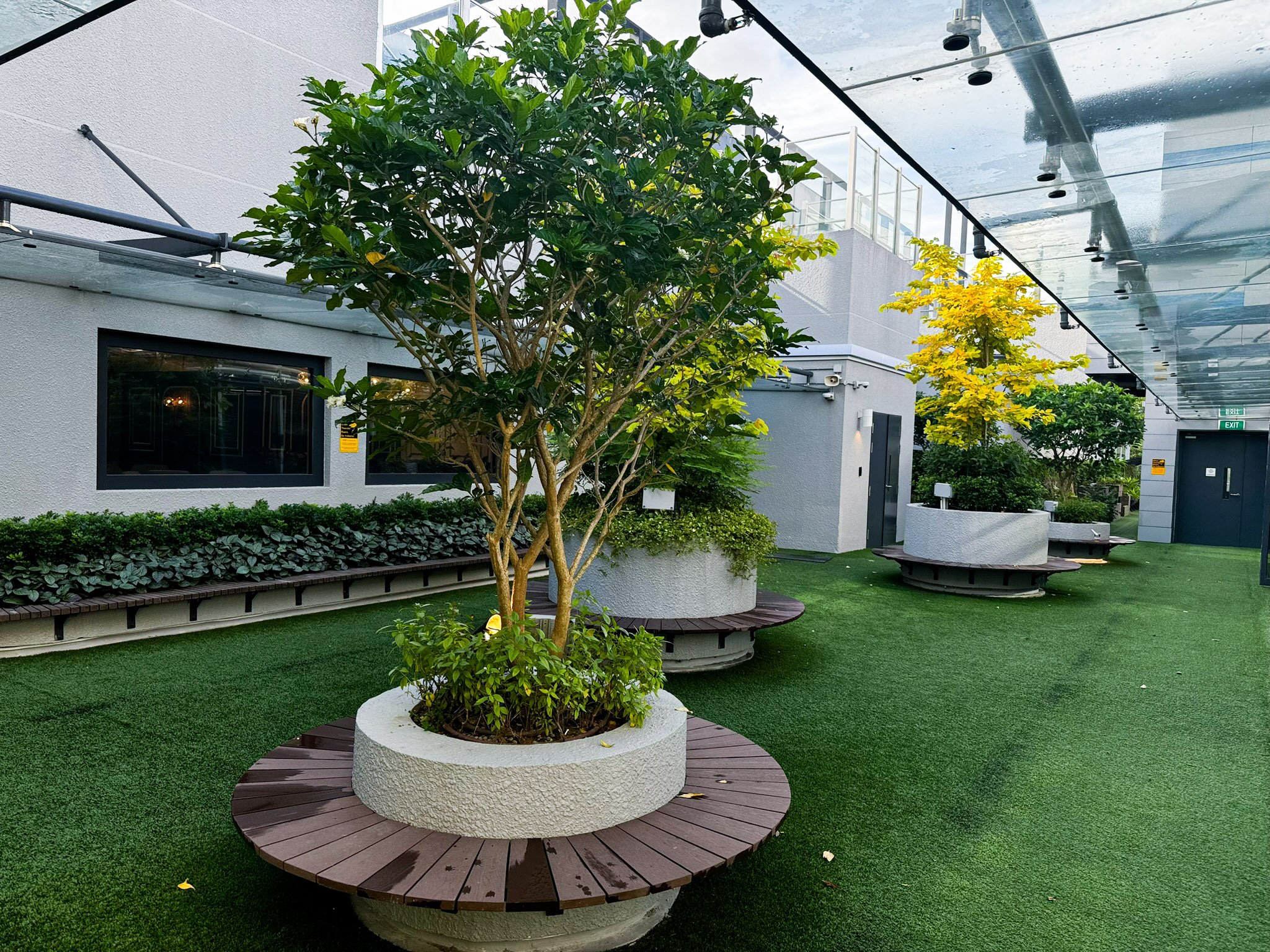 Urban rooftop garden with potted trees, green bushes, and artificial turf, enclosed by modern gray buildings.