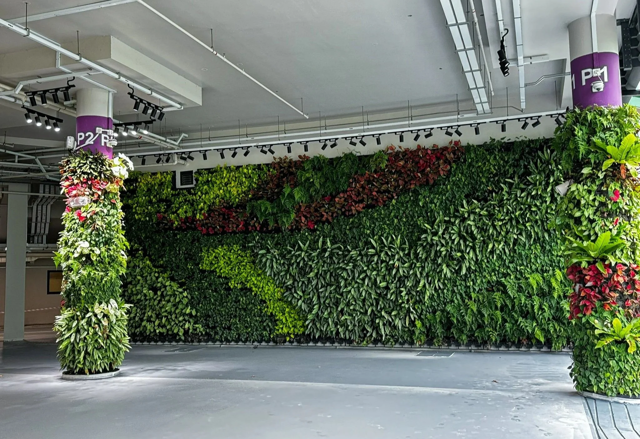 Indoor parking garage with vertical green wall featuring various plants. Columns are wrapped with greenery and purple signs indicating parking areas.