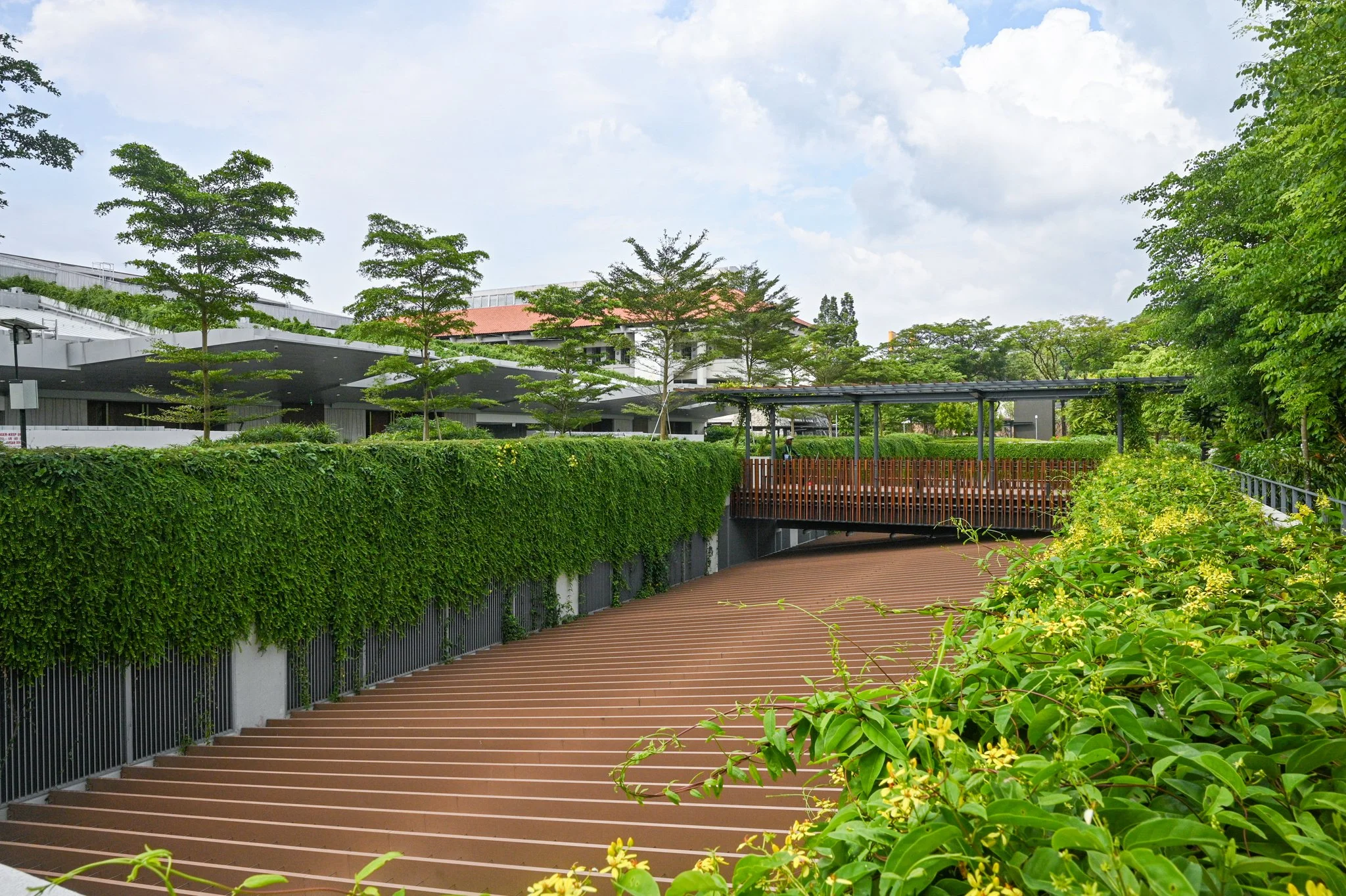 An outdoor park with a curved brown wooden pathway, lush green plants and trees, and a modern building in the background under a partly cloudy sky.