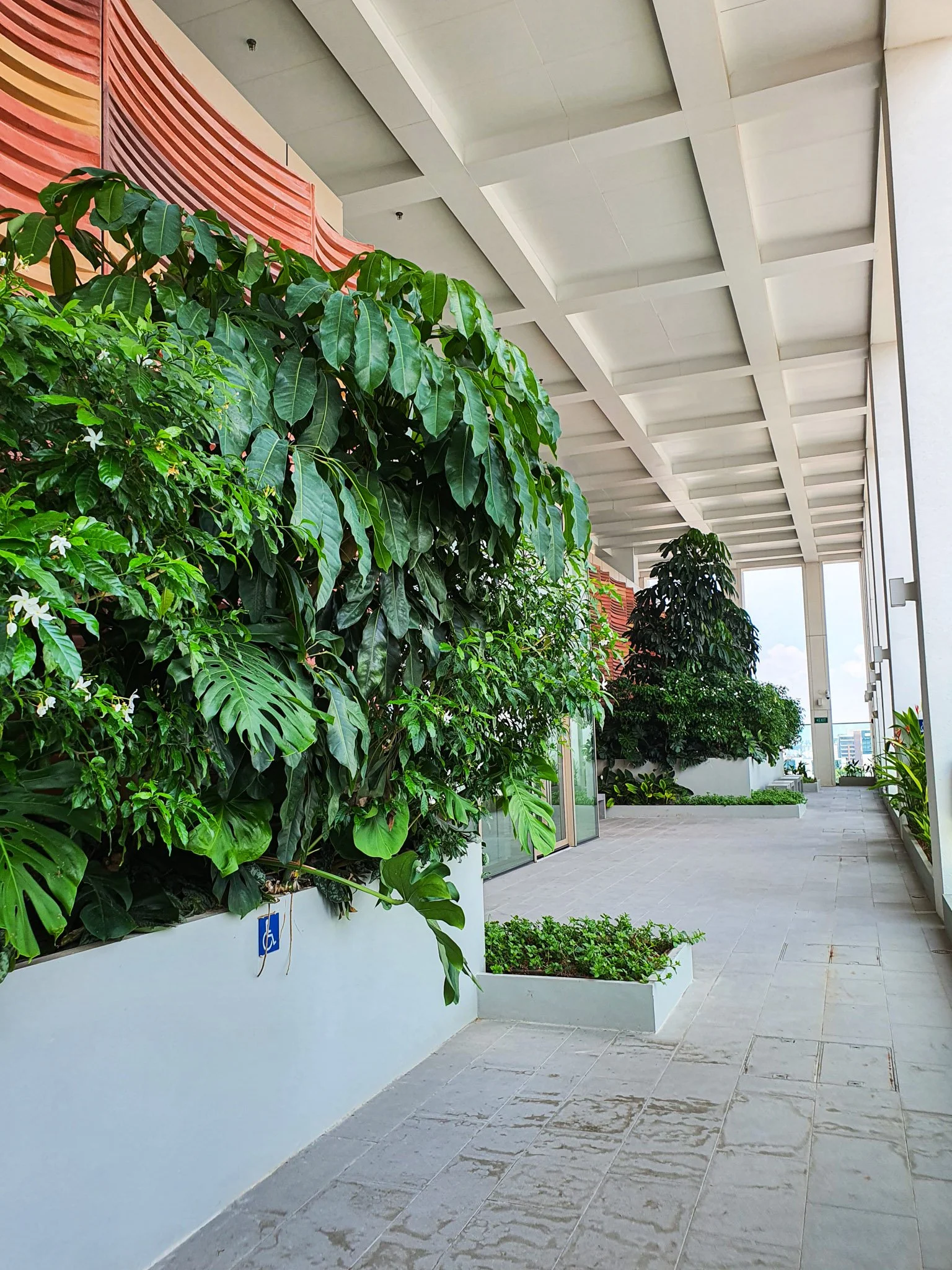Outdoor corridor with lush green plants and trees along the side, modern building with white walls and a tiled floor, balcony view with some buildings in the distance.