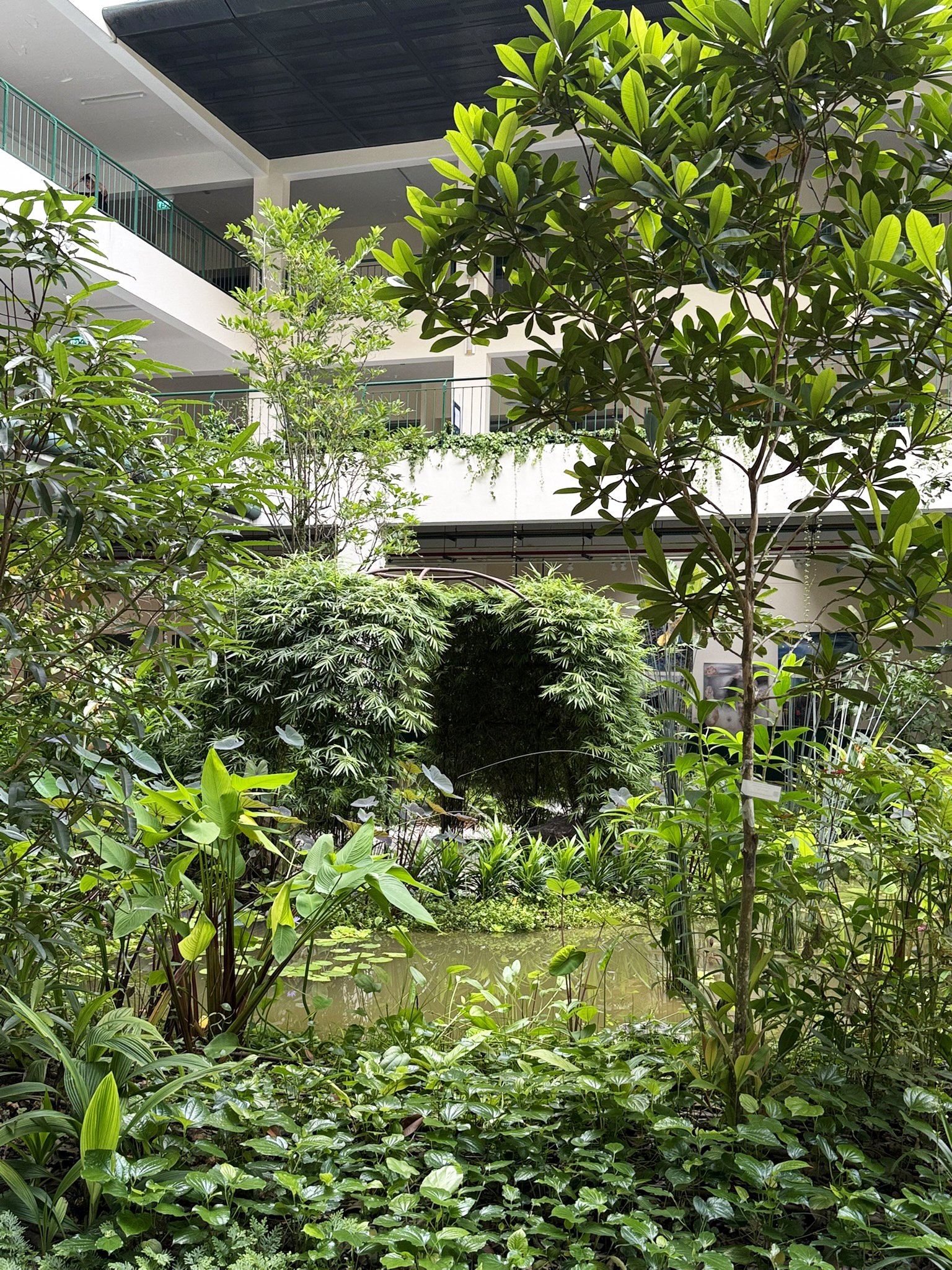 Indoor garden with lush green plants and small pond, surrounded by multi-story building with balconies.