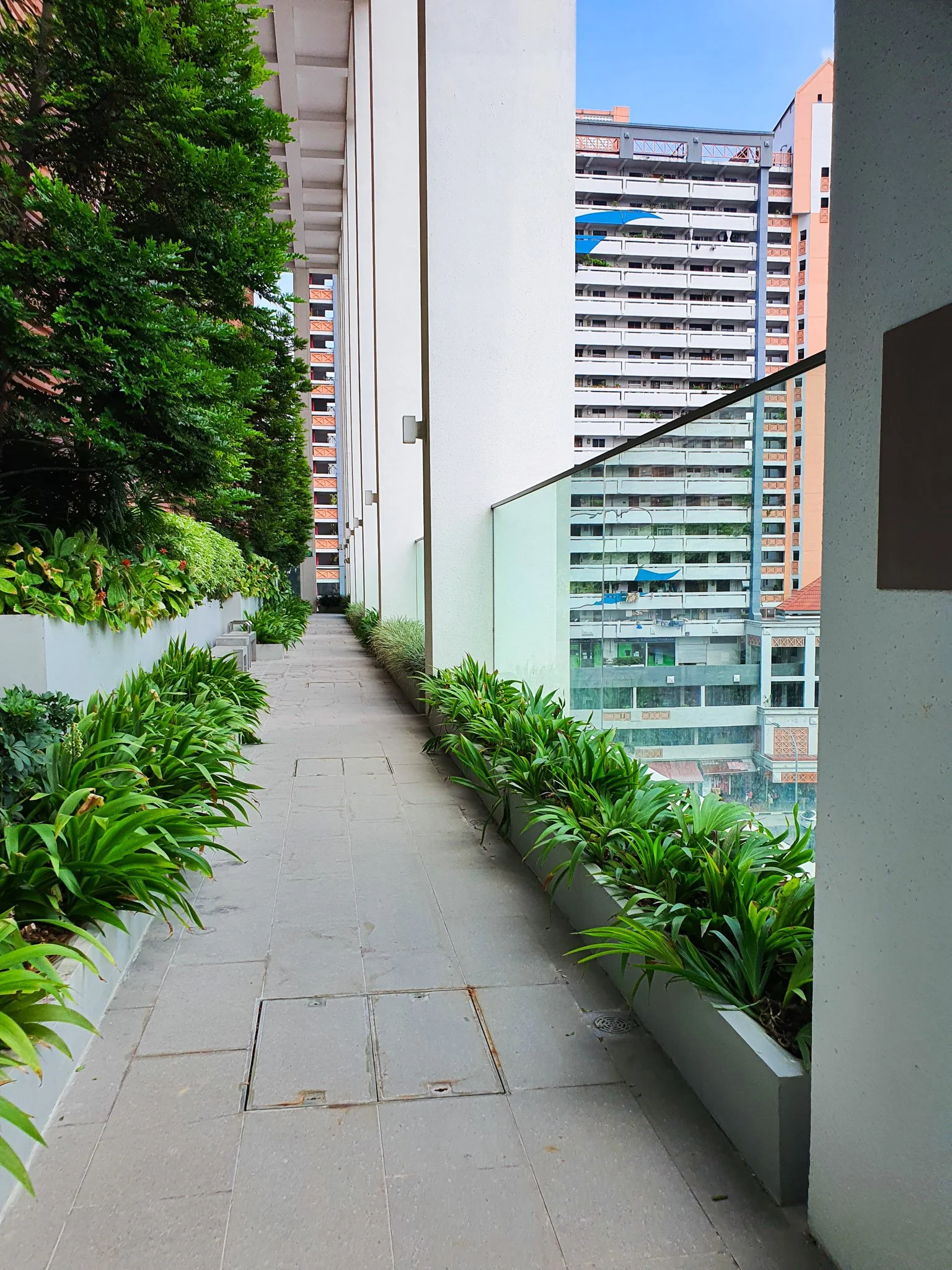 An outdoor balcony walkway with a row of green plants in rectangular planters on both sides, set against a backdrop of tall residential buildings, with a glass railing on the right and a partly cloudy sky visible above.