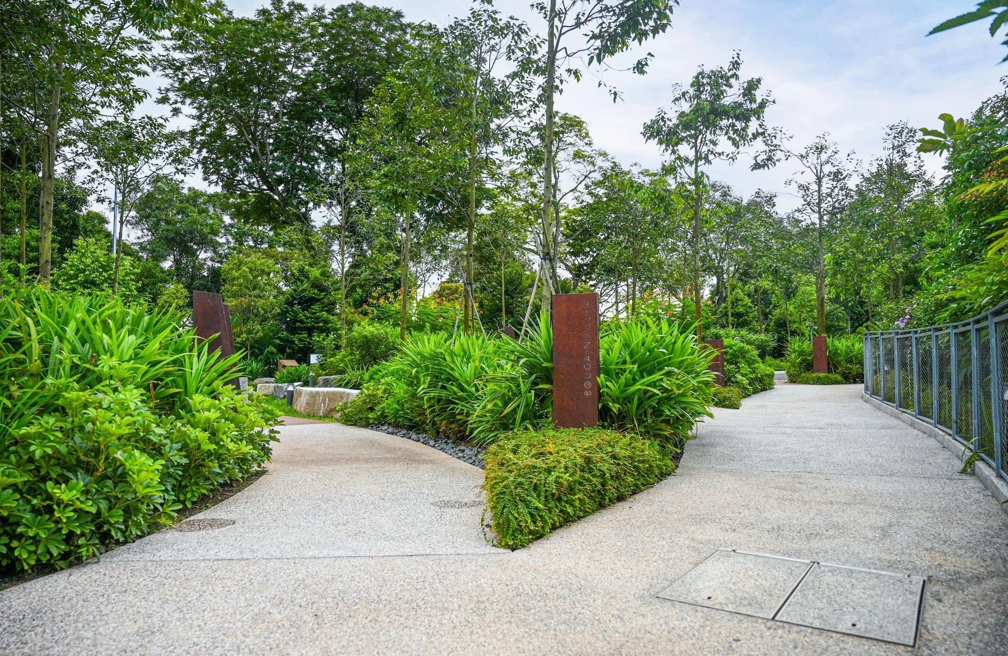 A paved outdoor pathway diverges into two directions, surrounded by lush green plants and trees, with signs and a metal railing on one side.
