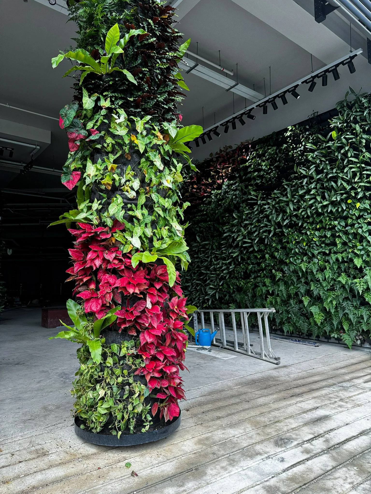 Indoor vertical garden with various green and pink plants on a cylindrical structure, and a wall of green foliage in the background.