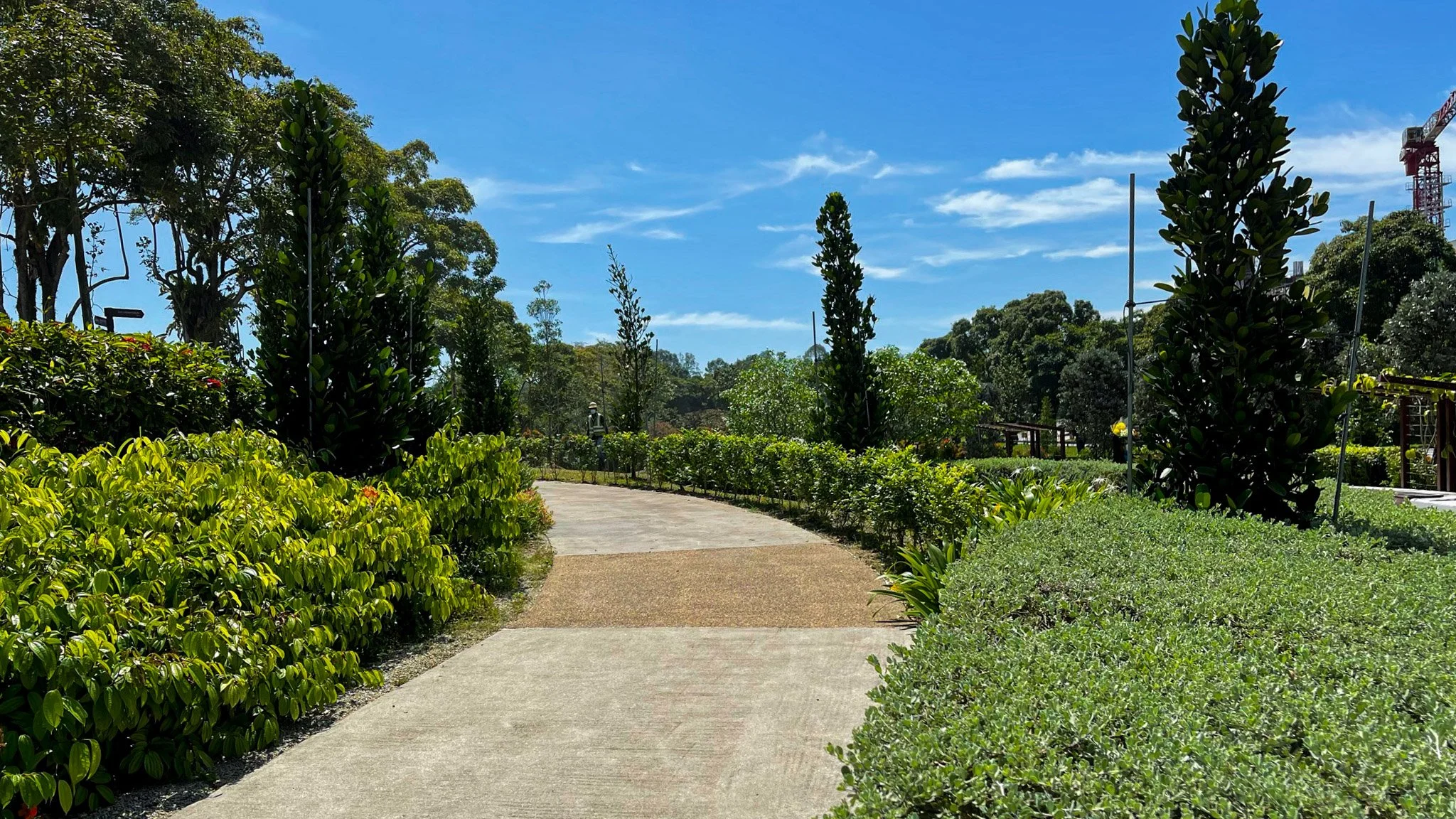 Paved park pathway surrounded by green bushes and tall trees under a bright blue sky with some clouds.