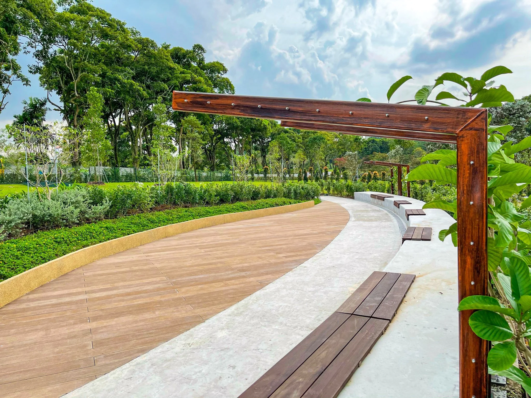 Curved walkway with wooden and concrete sections, surrounded by lush green trees and bushes, in a park setting.