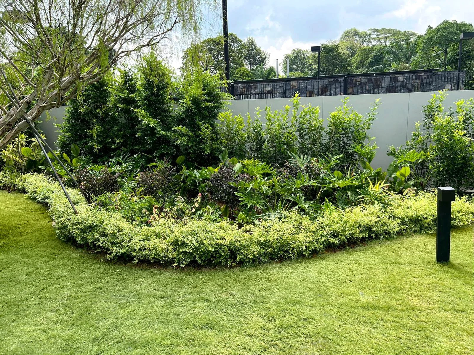Dalvey_Bushes.jpg