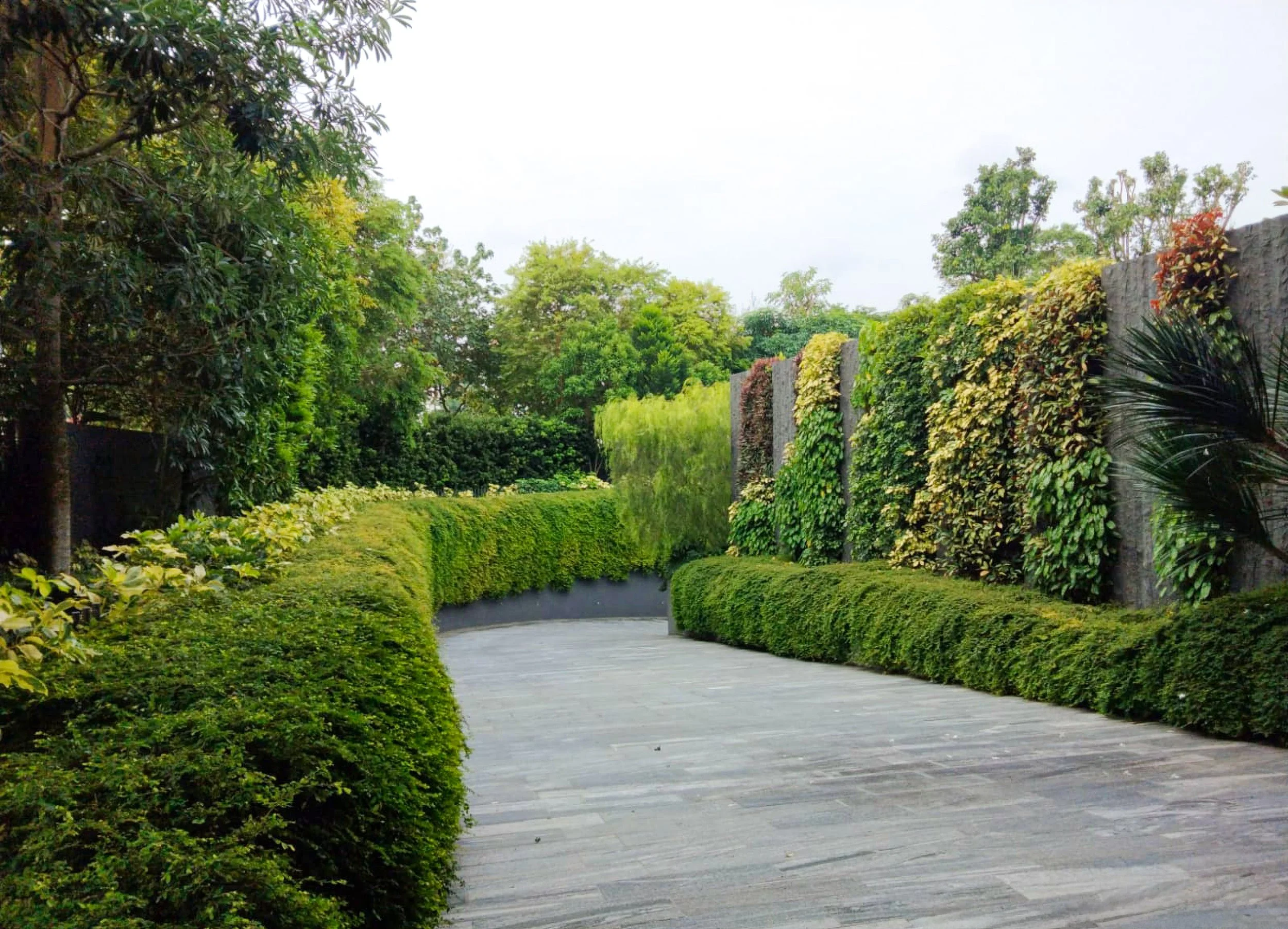 WhatsApp Image 2024-02-01 at 4.11.34 PM (1).jpg